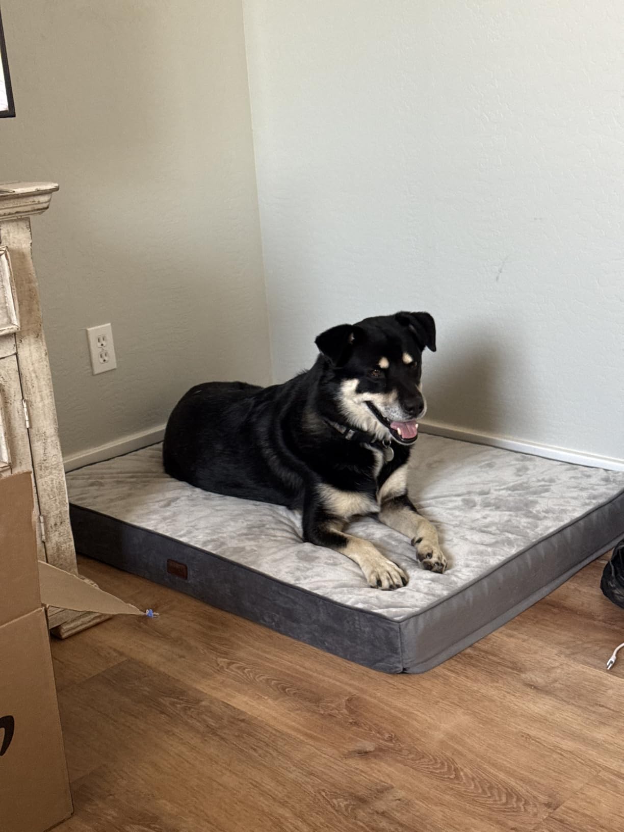 OhGeni Orthopedic Waterproof Dog Bed for Extra Large Dogs, Machine-Washable Removable Cover in Easy-Clean Fabric, Reversible Memory Foam & Easy-Carry Handle, Suitable for Crate, 41 inch (Gray) customer photo 1