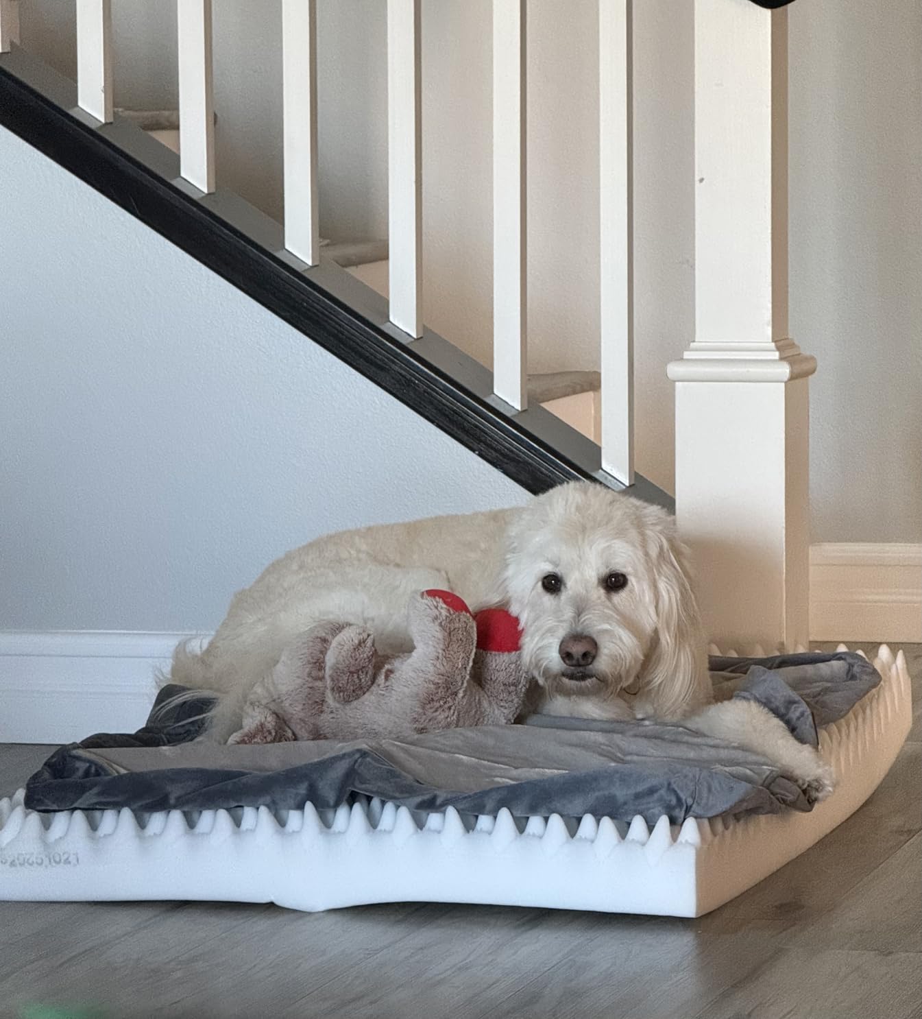 OhGeni Orthopedic Waterproof Dog Bed for Extra Large Dogs, Machine-Washable Removable Cover in Easy-Clean Fabric, Reversible Memory Foam & Easy-Carry Handle, Suitable for Crate, 41 inch (Gray) customer photo 2