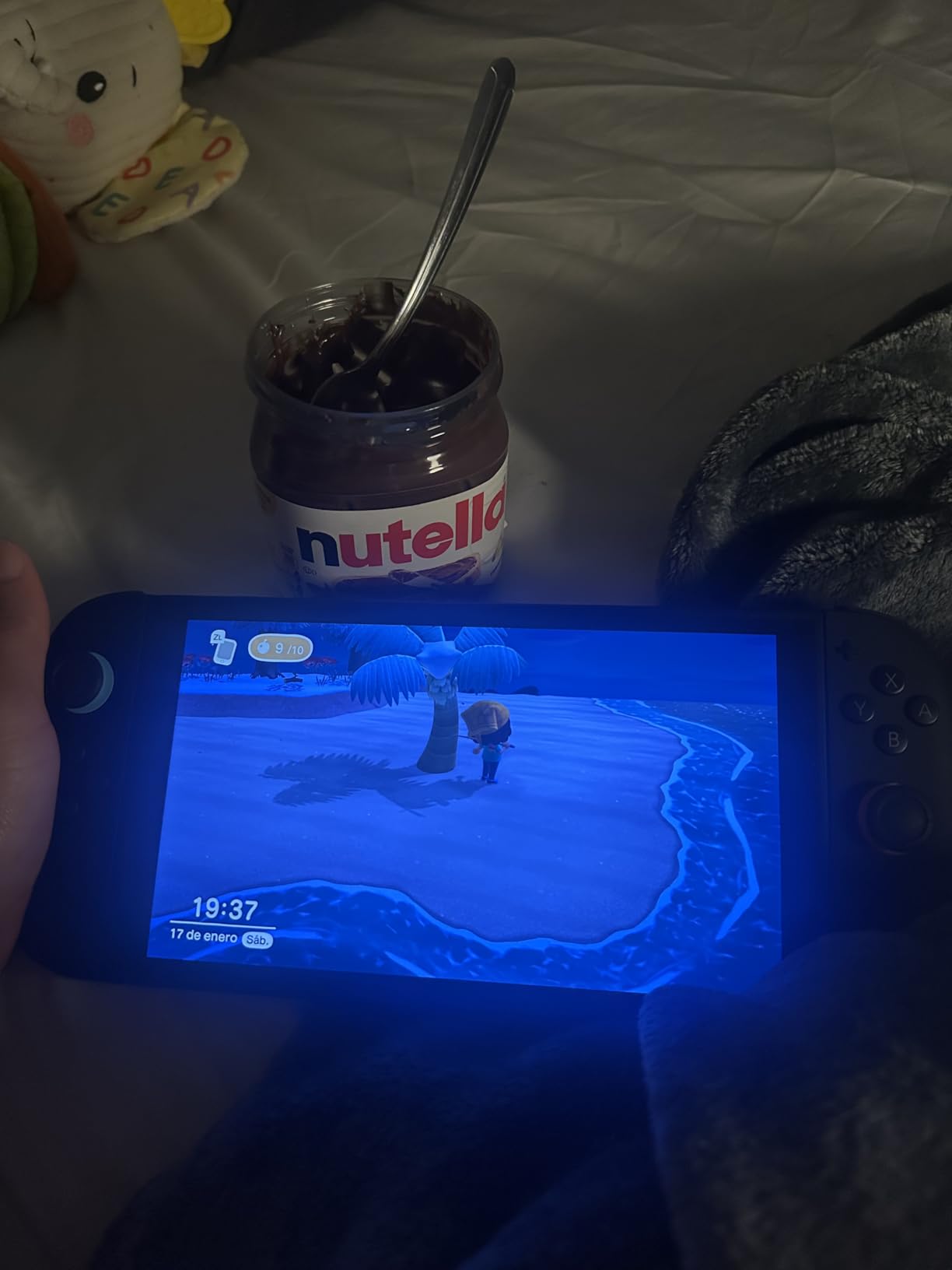 Animal Crossing: New Horizons Nintendo Switch 2 Edition customer photo 1