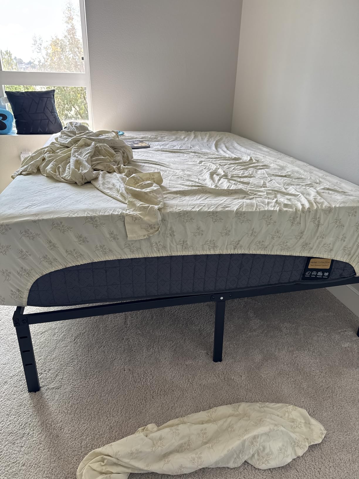 14 inch Extra Firm Mattress Queen, Hybrid Mattress with Back and Lumbar Hip Support, Fiberglass Free, 365 Nights Trial, 10 Years Warranty customer photo 1
