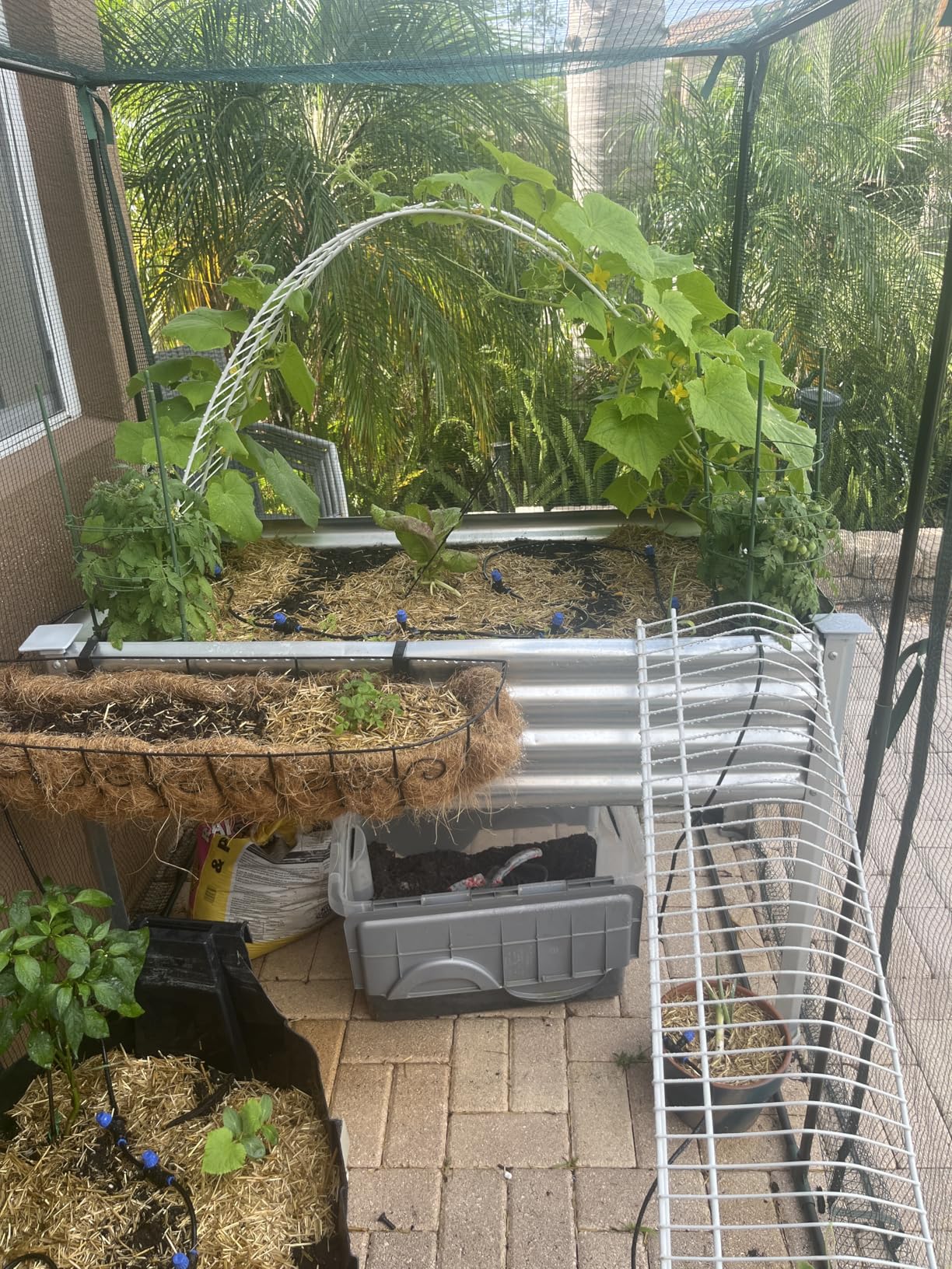 Land Guard Galvanized Raised Garden Bed with Legs, 96x24x32in Elevated Planter Box with Drainage Holes, 1200lb Capacity, Silver customer photo 1