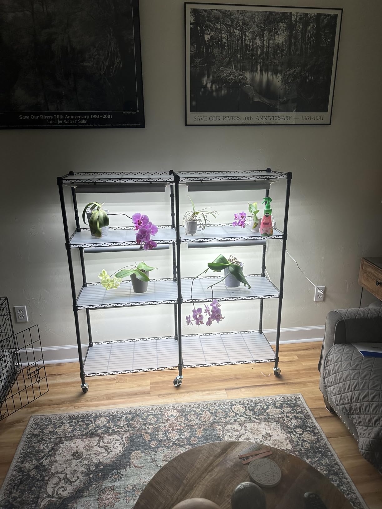 Barrina LH750 Pegboard Indoor Greenhouse with Grow Light, Plant Cabinet with 90W 5000K Full Spectrum Lamps, 3 Adjustable Pegboards, Timer, Wheel, for Foliage Plant, Seedling, 29.5x13.8x67.9IN customer photo 1