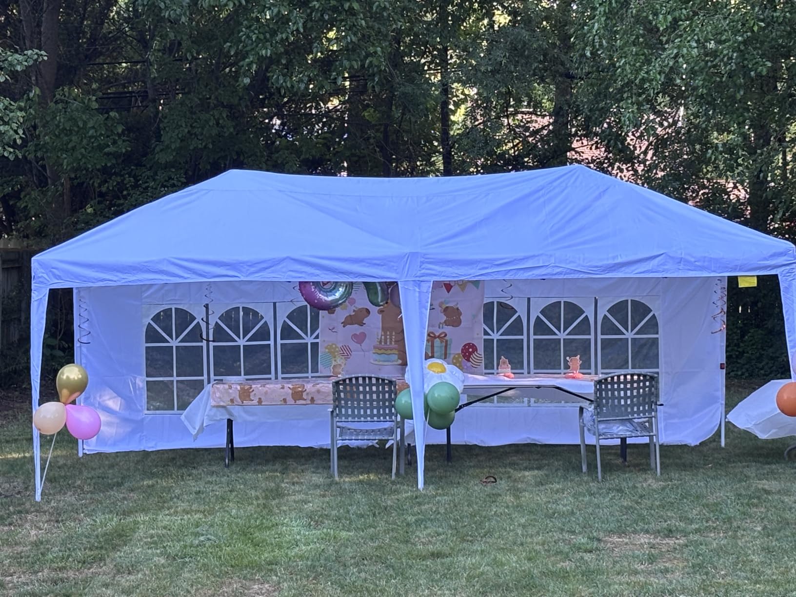 Aoxun 10x20 Pop Up Canopy Tent with 6 Removable Sidewalls, One Push Party Tent Waterproof Outdoor Canopy with 3 Adjustable Height, Portable Tents for Parties, Wedding, Commercial, Market customer photo 1