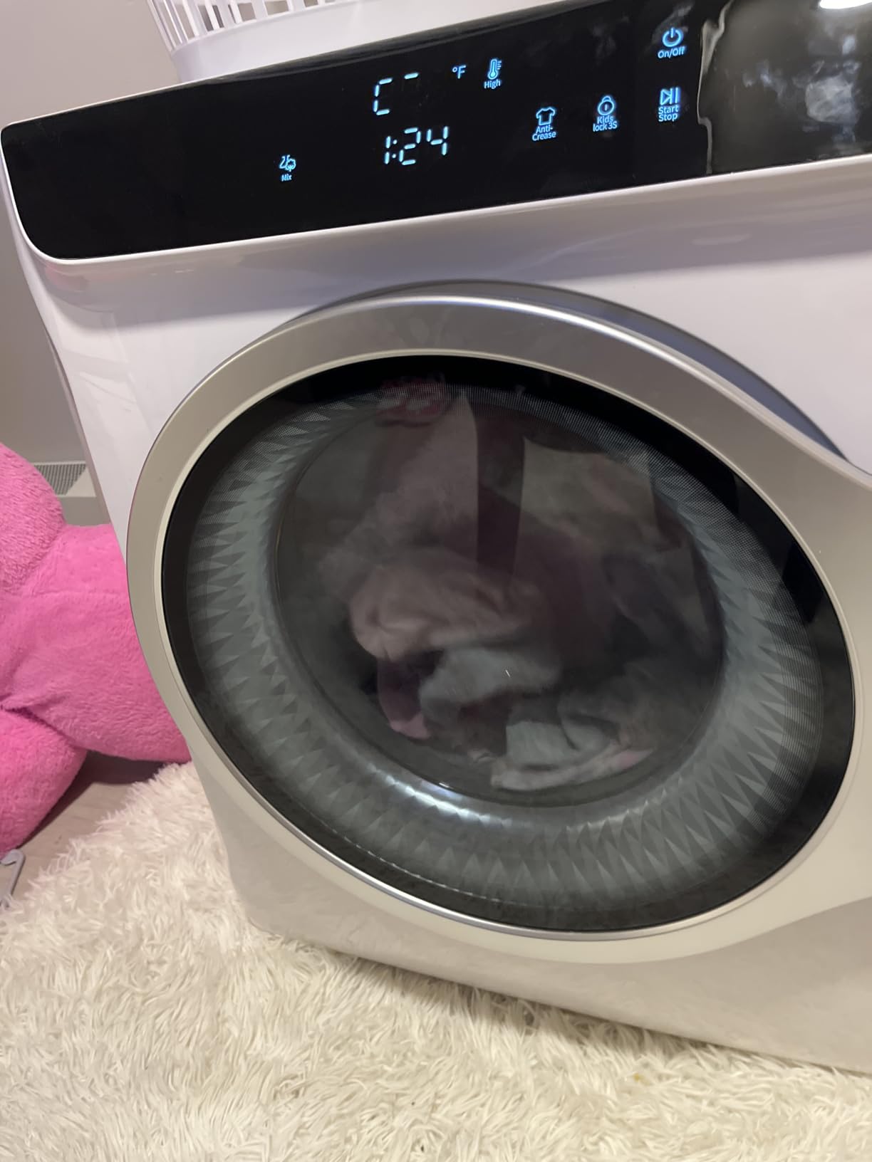 Auertech 3.6 CU. FT Clothes Dryer, Large Capacity Laundry Dryer with 12 Drying Modes & Stainless Steel Tub, Dryer Machine, Electric Dryer with LED Control for Busy Family Home, White customer photo 2