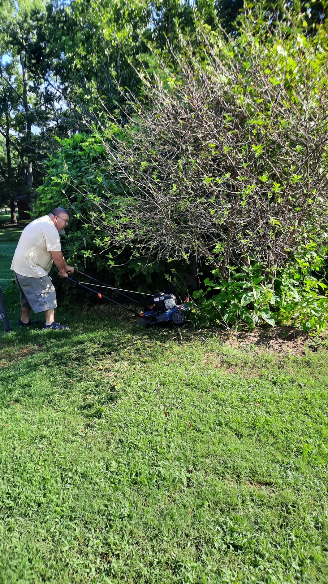 SENIX 22 Inch 3-in-1 Gas Lawn Mower, 201cc Rear Wheel Single Speed Self-Propelled Mower, 4-Cycle Engine, Steel Deck, Mulching, Bagging, Discharging, 6-Position Cutting Height Adjustable customer photo 1