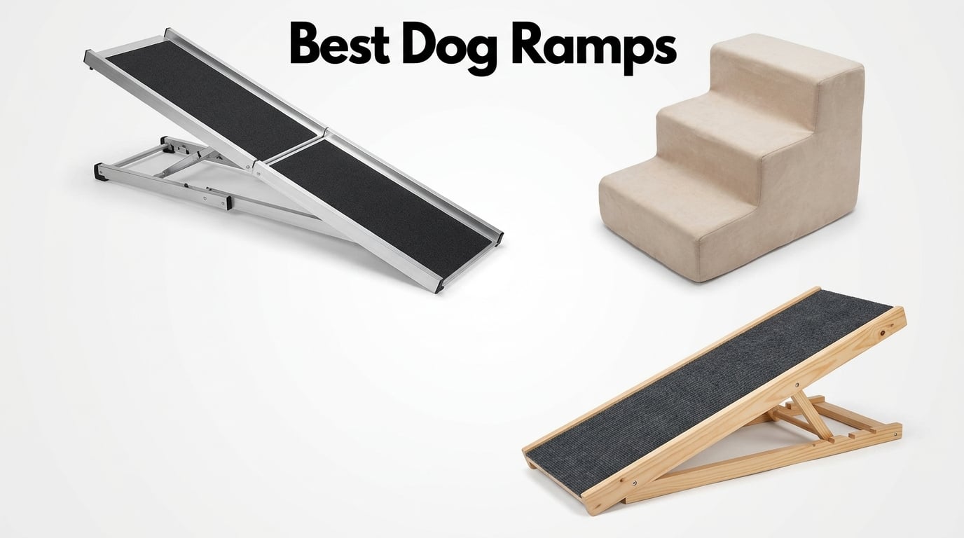best dog ramps