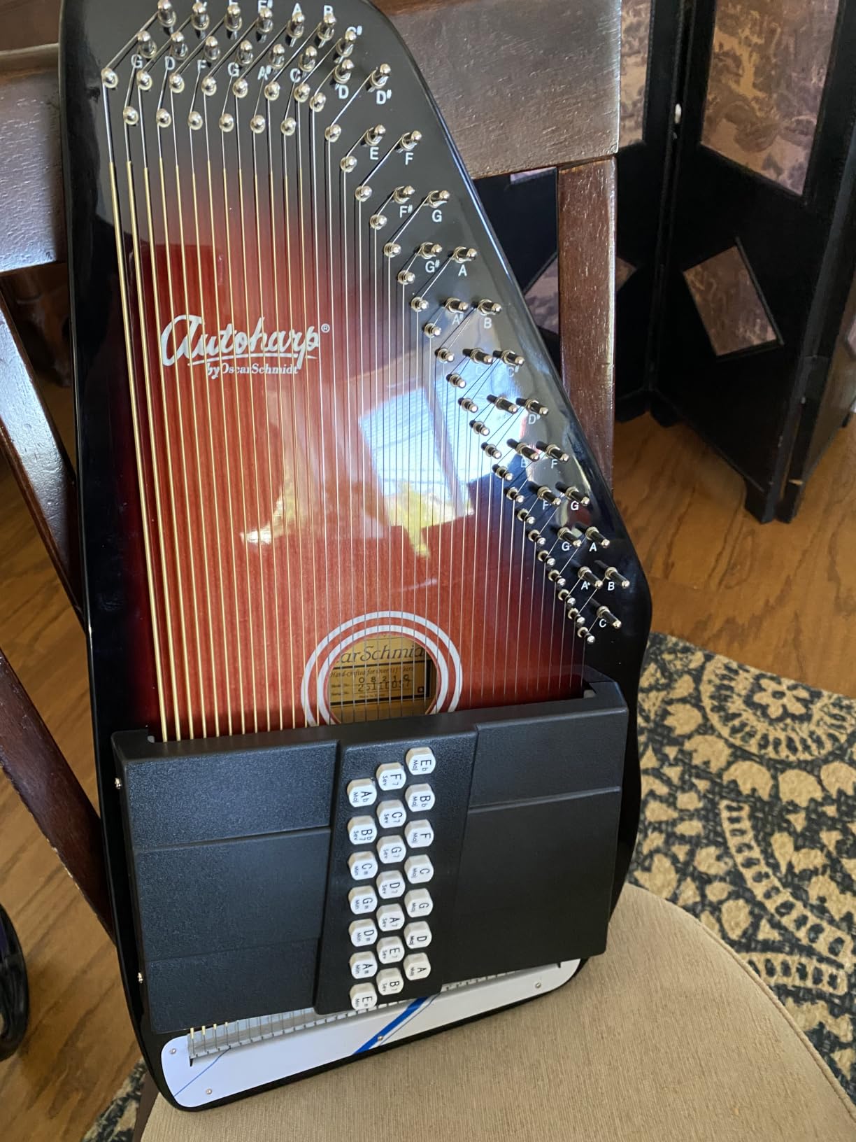 Autoharp by Oscar Schmidt 21 Chord Maple Body Autoharp customer photo 1