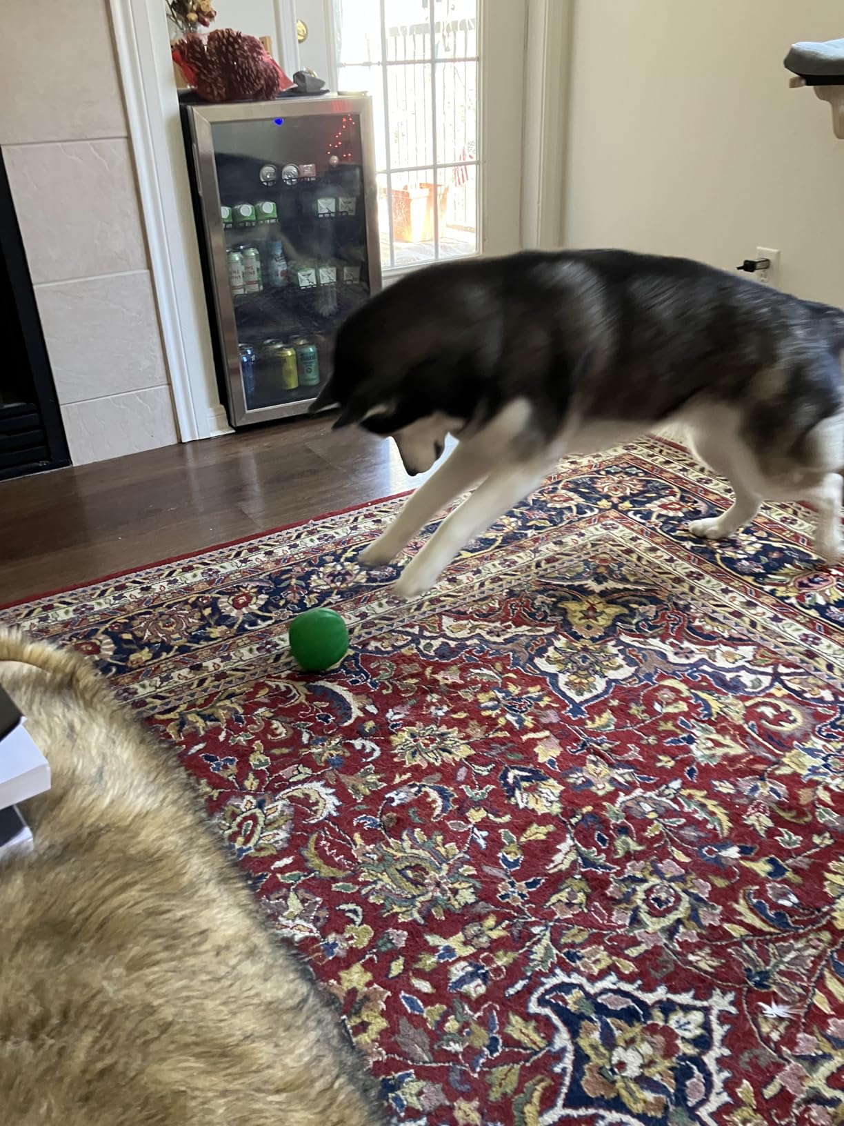 Starmark Treat Dispensing Chew Ball, Large customer photo 1