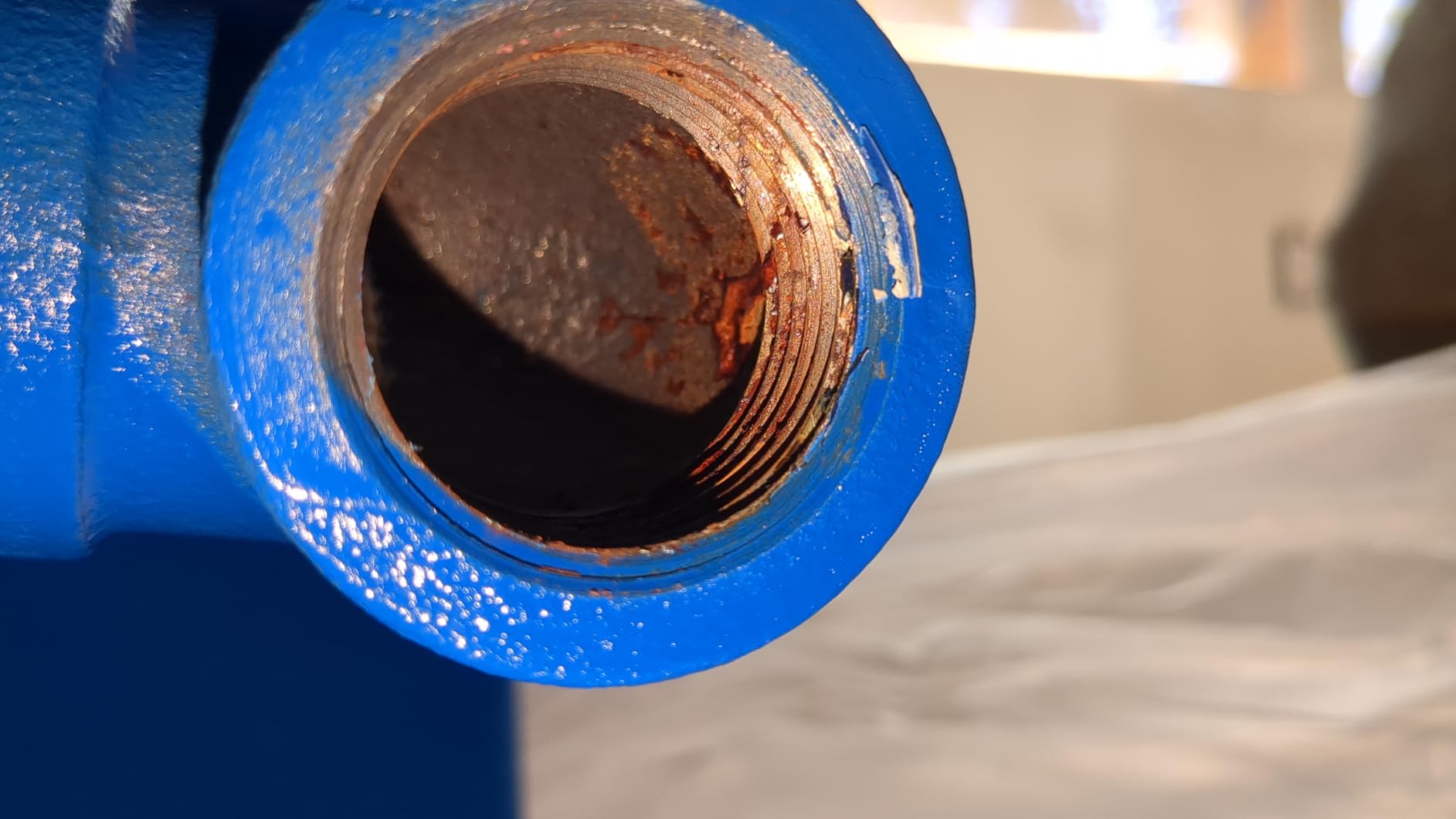 WaterWorker HT-30B Vertical Pressure Well Tank, 30-gallon tank with 26-gallon capacity, Blue customer photo 2