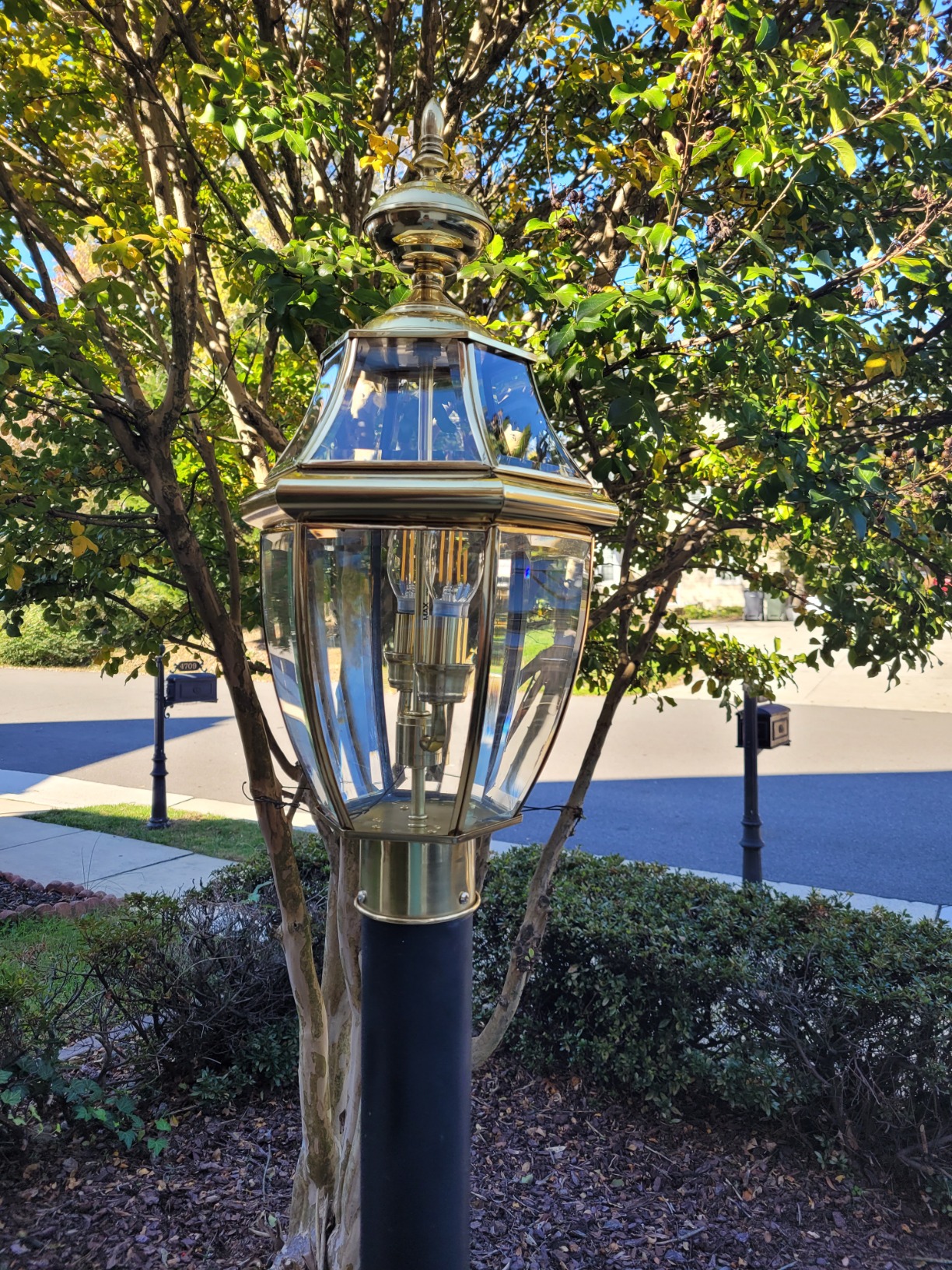 Quoizel Newbury 23 Inch Outdoor Post Lantern, Medici Bronze, 3-Light, Clear Beveled Glass, E12 Base, ETL Wet Rated customer photo 2