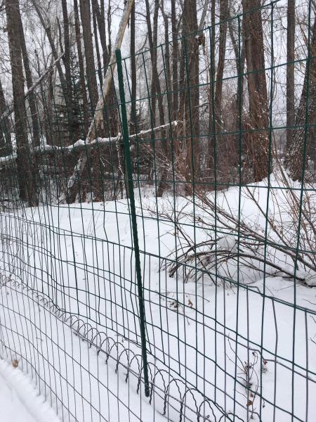 YARDGARD 2 in. x 3 in. Mesh Welded Wire Fence, 24 in. x 25 ft. 16-Gauge Green Vinyl Coated Galvanized Steel for Animal Enclosures, Garden Protection, Property Boundaries customer photo 1