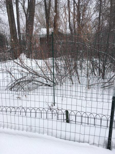 YARDGARD 2 in. x 3 in. Mesh Welded Wire Fence, 24 in. x 25 ft. 16-Gauge Green Vinyl Coated Galvanized Steel for Animal Enclosures, Garden Protection, Property Boundaries customer photo 2