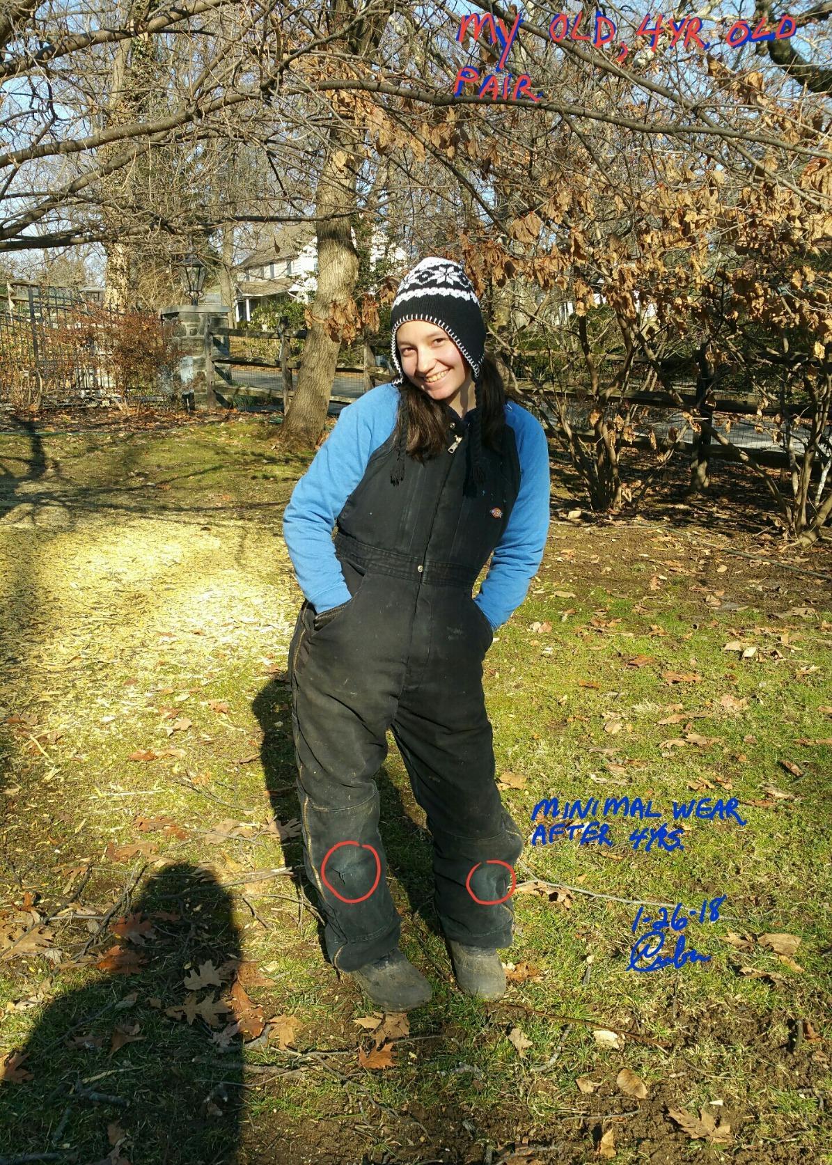 Dickies Men's Premium Insulated Duck Bib Overall customer photo 1