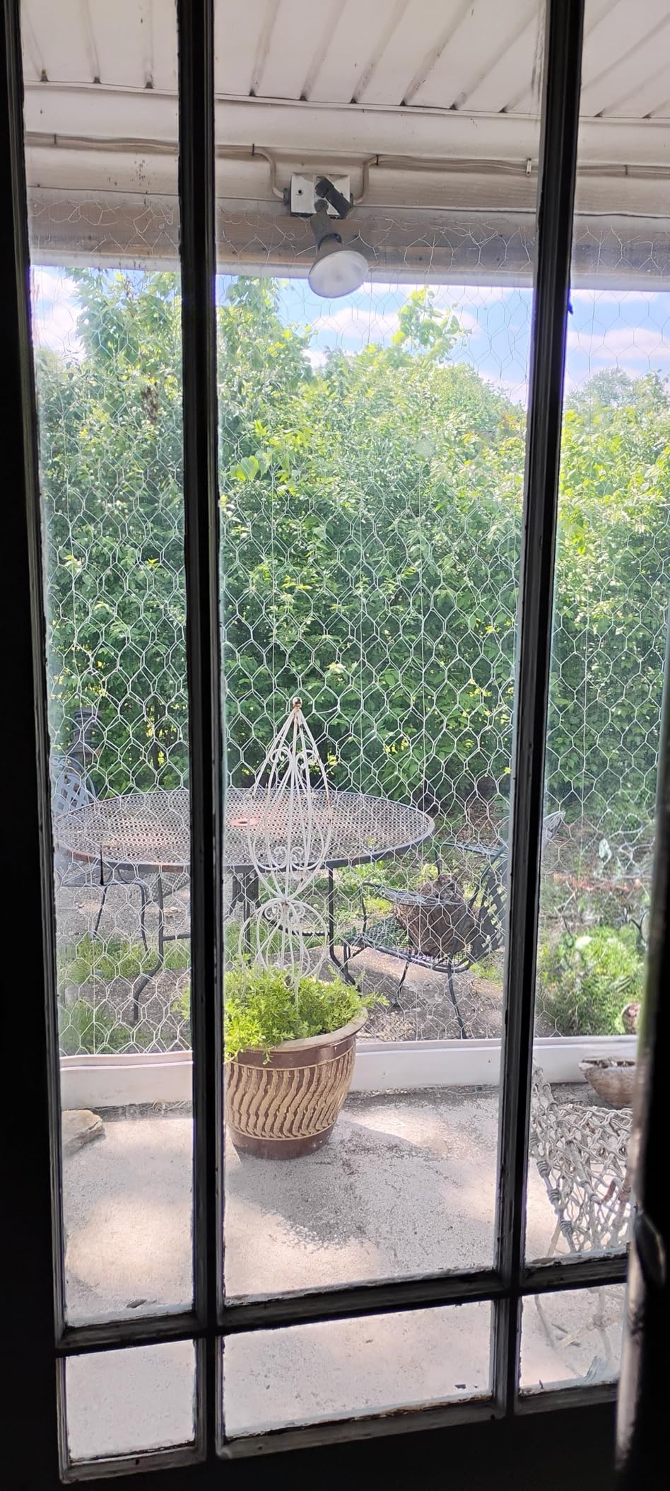 YARDGARD 2 Inch Poultry Netting, Chicken Wire Fence, 20 Gauge Galvanized Steel, Rabbit Fencing, Bird Enclosures, Garden Protection and Plant Support, 36 Inches x 150 Feet customer photo 2