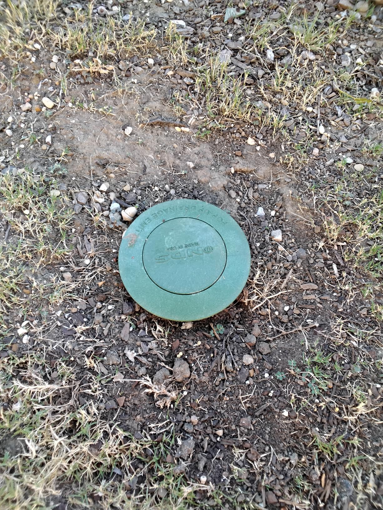 NDS 422G Pop-Up Drainage Emitter with Elbow fits 4-Inch Sewer and Drain Pipe, Works with Drainage Systems Including Catch Basins, Green customer photo 1