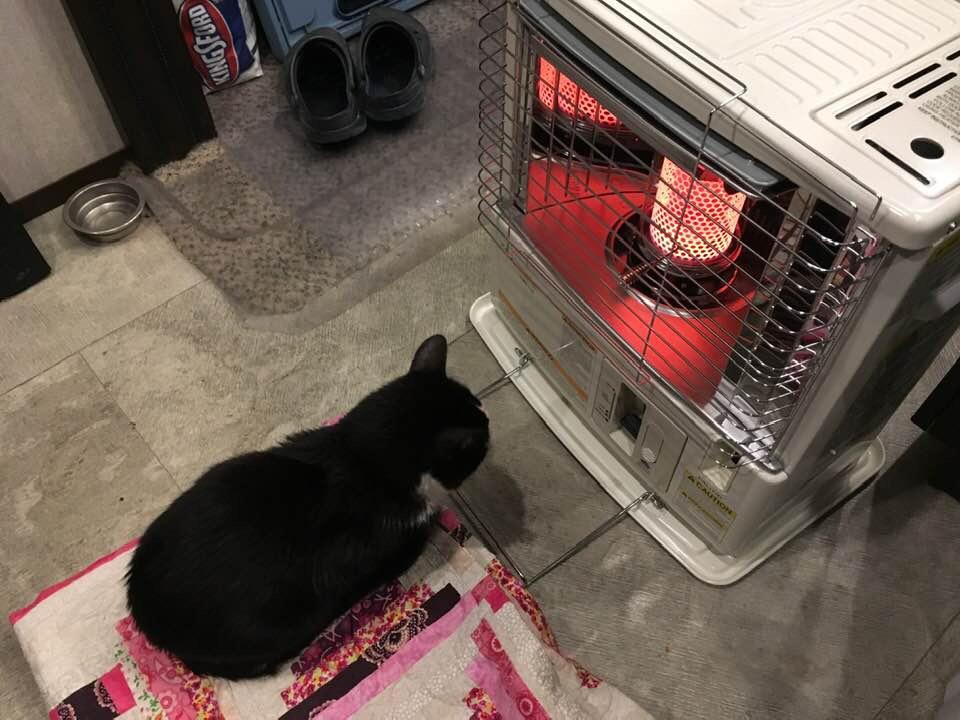Sengoku HeatMate Indoor & Outdoor Portable Kerosene Oil Heater, 10,000 BTU, White customer photo 1