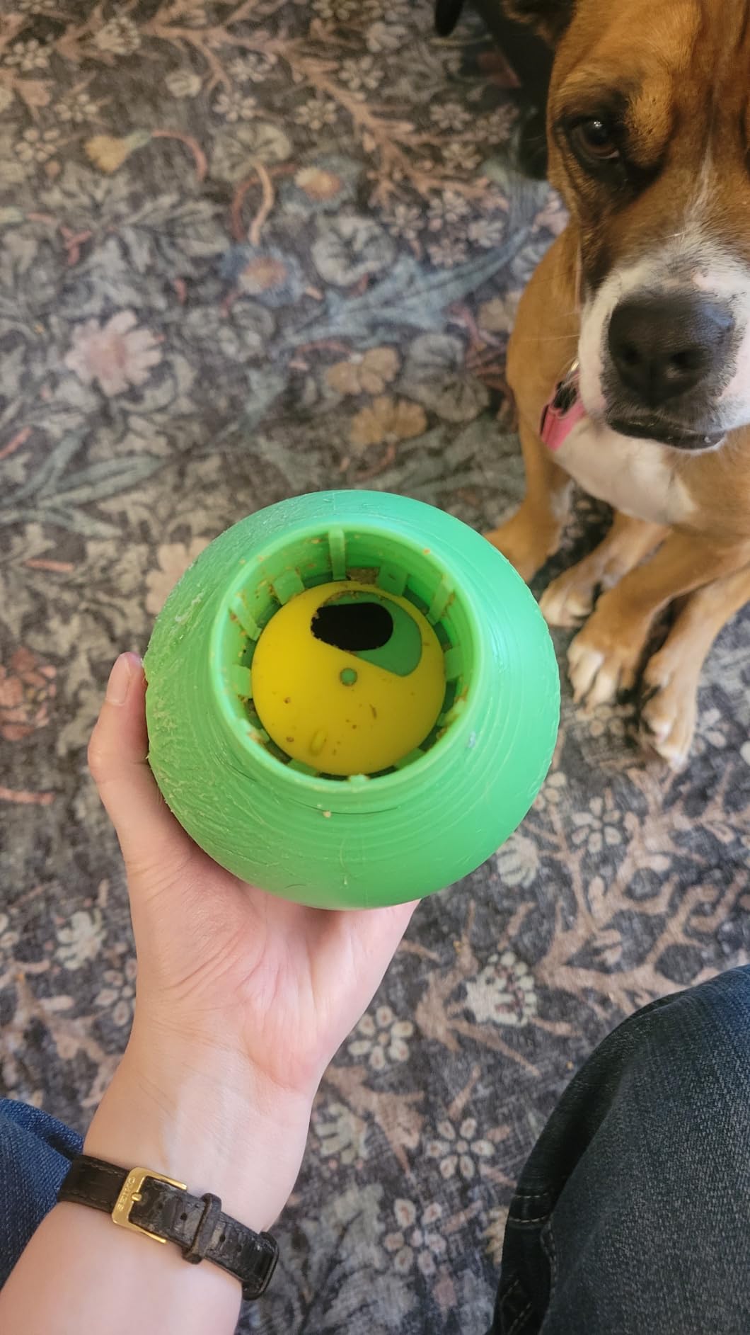 StarMark Bob-A-Lot Interactive Dog Toy, Small, Green customer photo 1