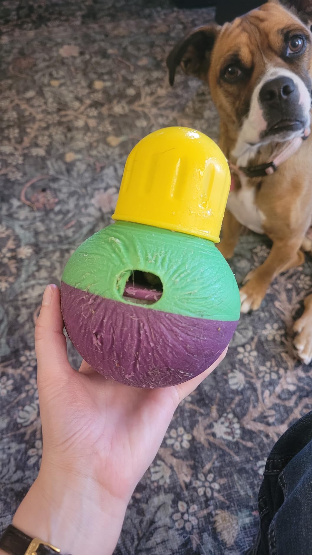 StarMark Bob-A-Lot Interactive Dog Toy, Small, Green customer photo 2