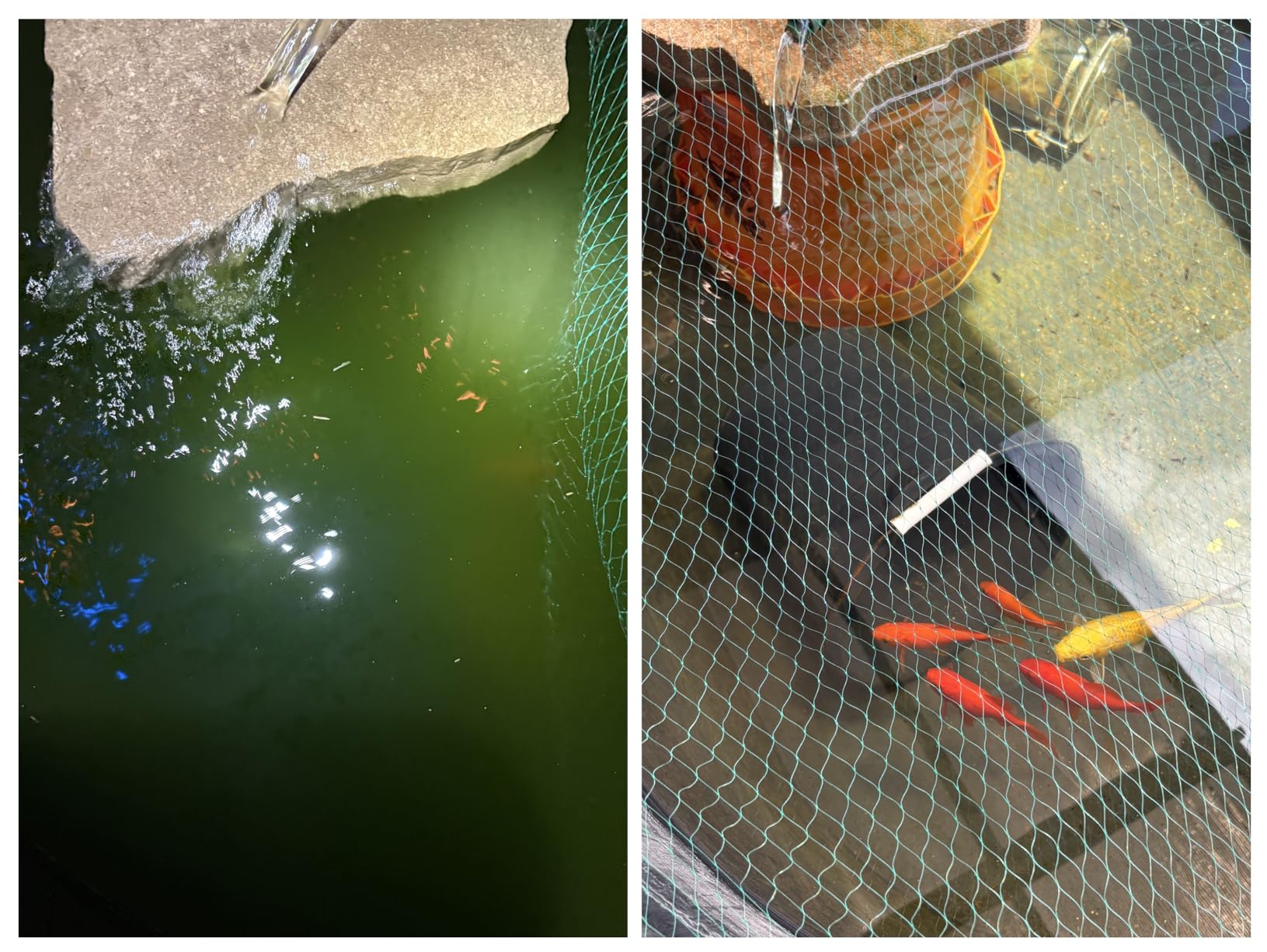 TetraPond GreenFree UV Clarifier, For Clean And Clear Ponds customer photo 1