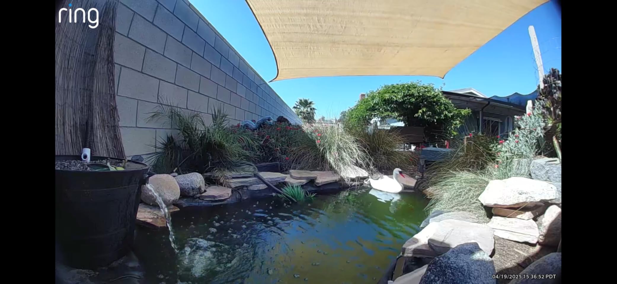 TetraPond GreenFree UV Clarifier, For Clean And Clear Ponds customer photo 2