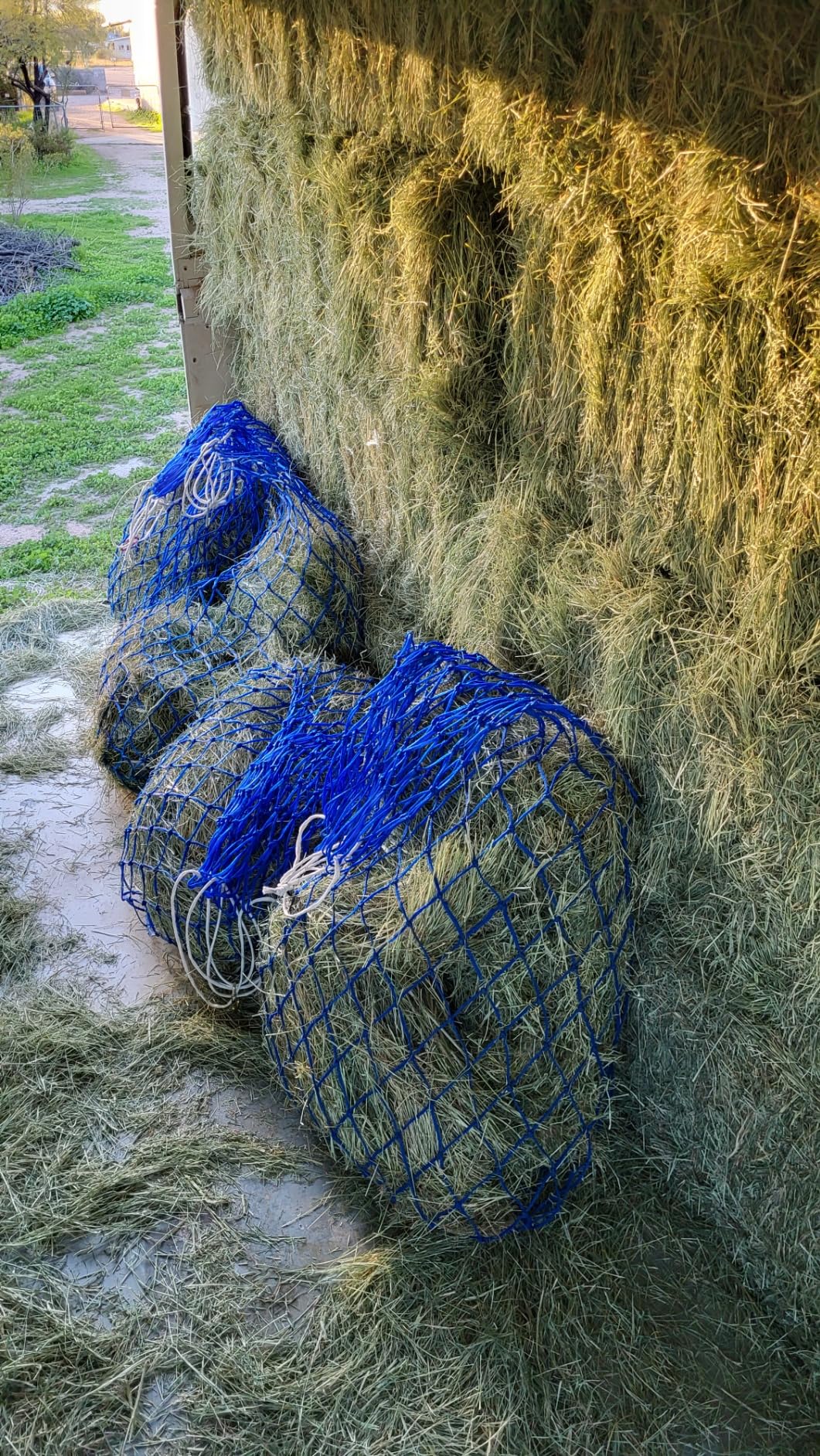 Tough1 Slow Feed Hay Net - Royal Blue customer photo 1