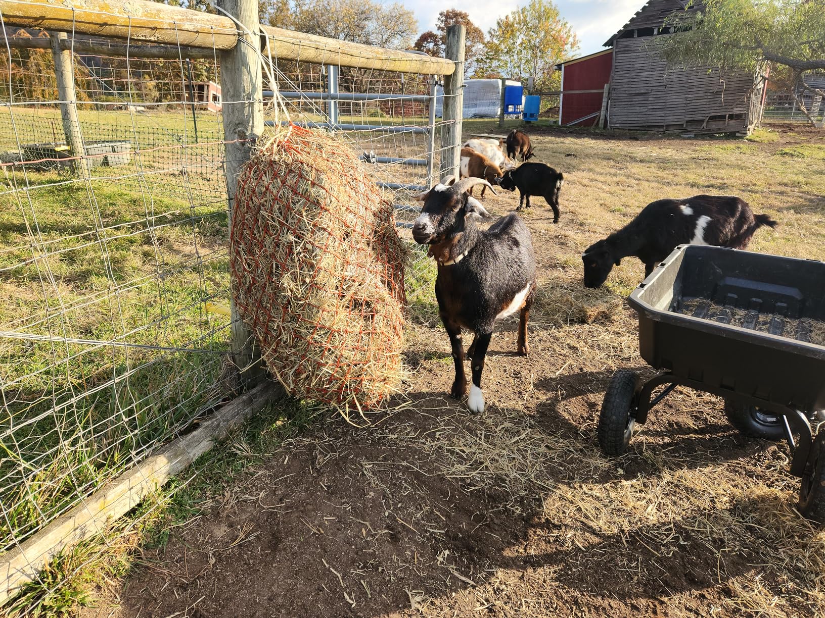 Tough1 Slow Feed Hay Net - Royal Blue customer photo 2