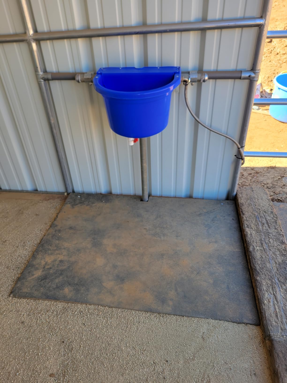 Little Giant Automatic Animal Waterer | DuraMate Float Controlled Automatic Waterer for Livestock | Heavy Duty and Durable | Made in USA | 4 Gallon (Blue, 4 Gallon) customer photo 2