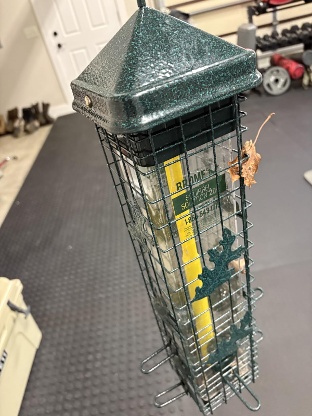 Squirrel Solution200 Squirrel-proof Bird Feeder w/6 Feeding Ports, 3.4-pound Seed Capacity, Free Seed Funnel customer photo 1