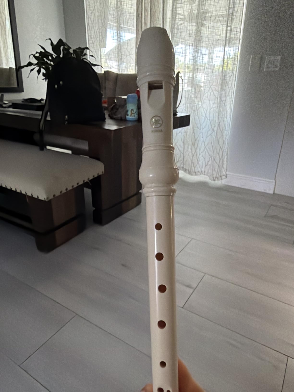 Yamaha YRS-24B Plastic Soprano Recorder, Natural customer photo 1