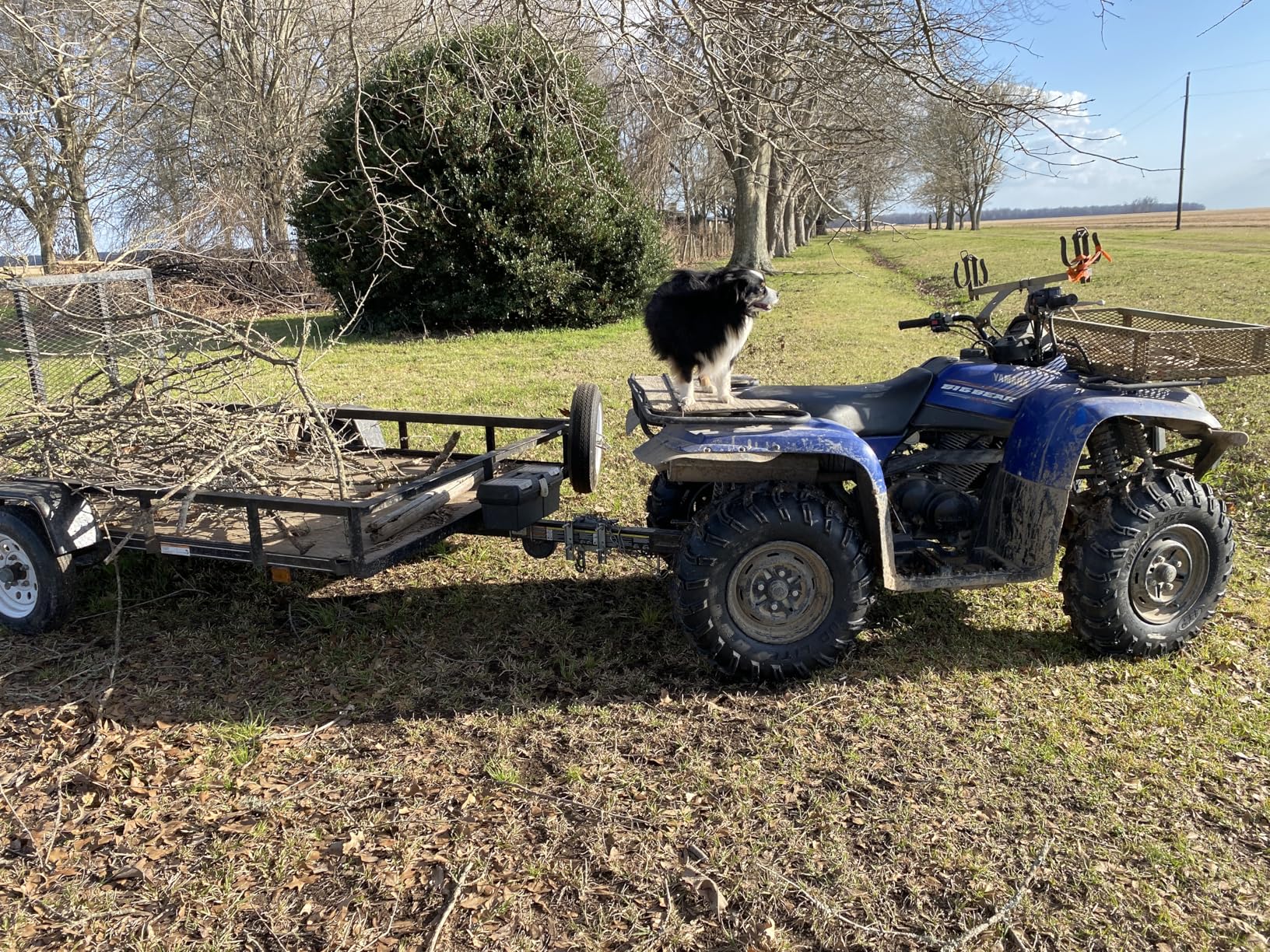 ITP Mud Lite AT Mud Terrain ATV Tire 25x8-12 customer photo 1