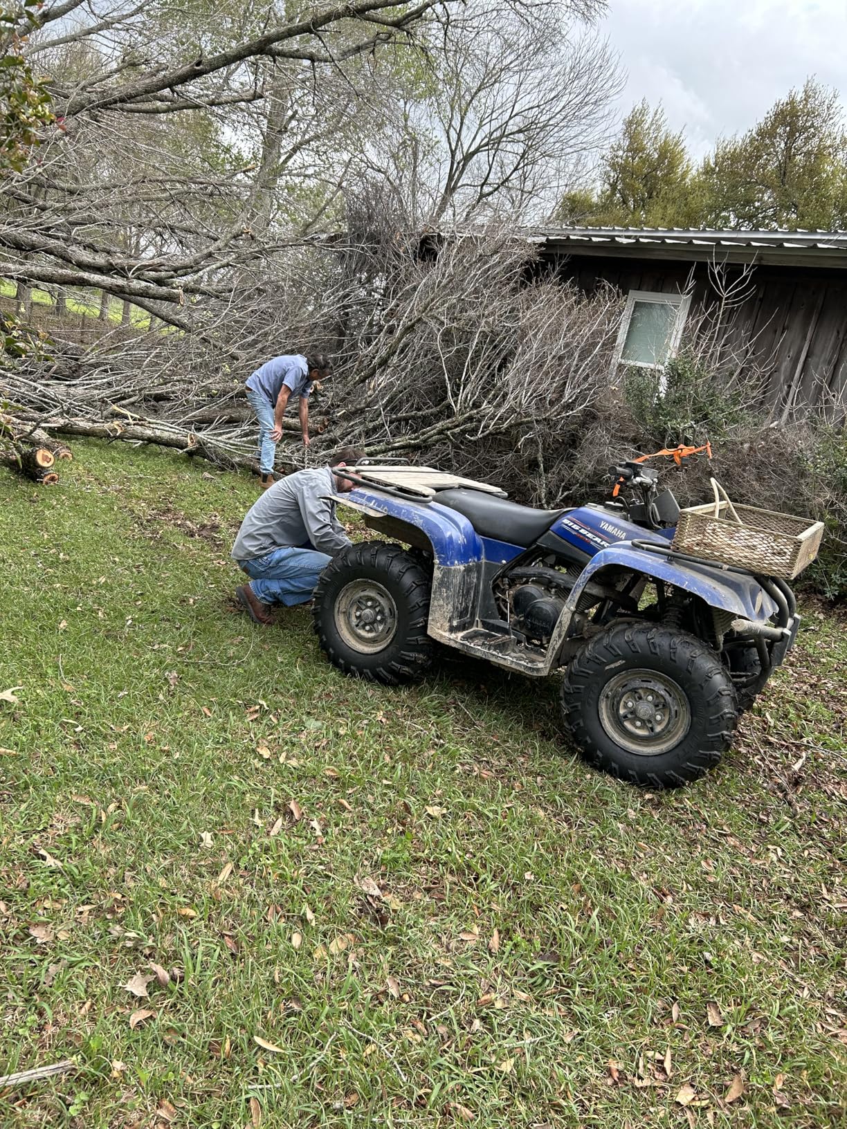 ITP Mud Lite AT Mud Terrain ATV Tire 25x8-12 customer photo 2