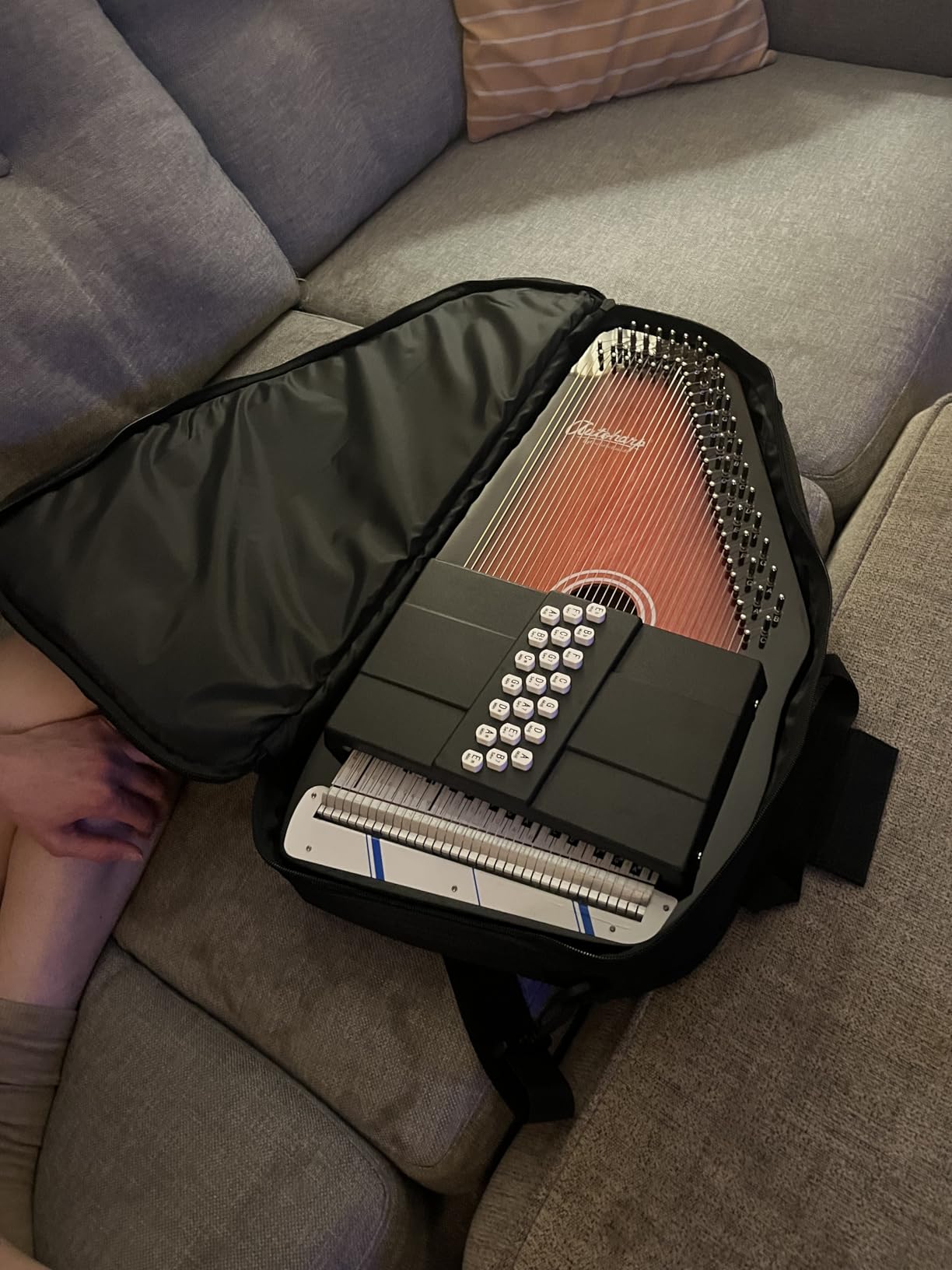 Oscar Schmidt OS21C 21 Chord Classic Autoharp with AC445 Padded Gig Bag customer photo 1
