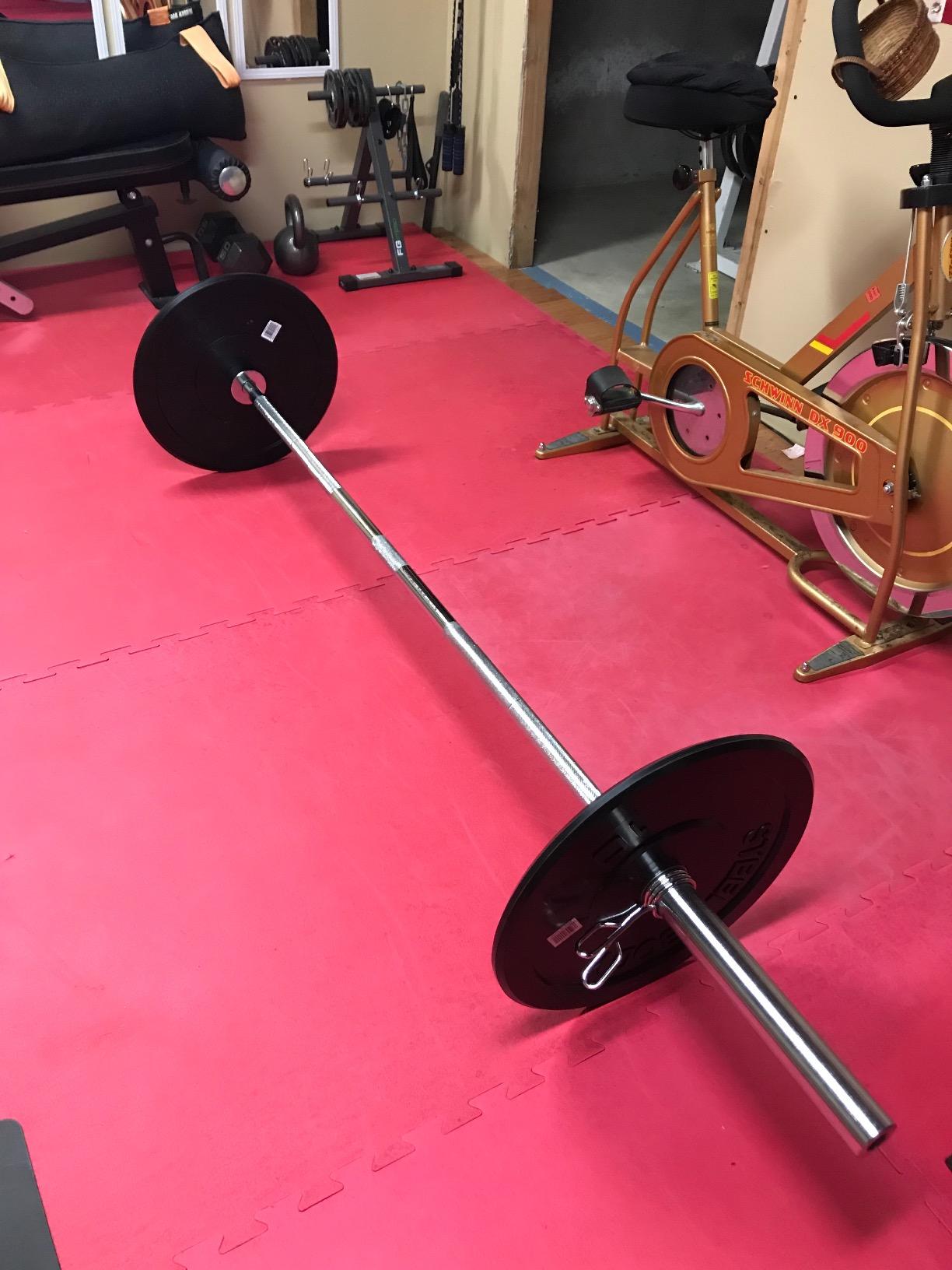Steelbody Olympic Rubber Bumper Weight Plate - 10 lb. / 25 lb. / 35 lb. / 45 lb. Workout Weights customer photo 1