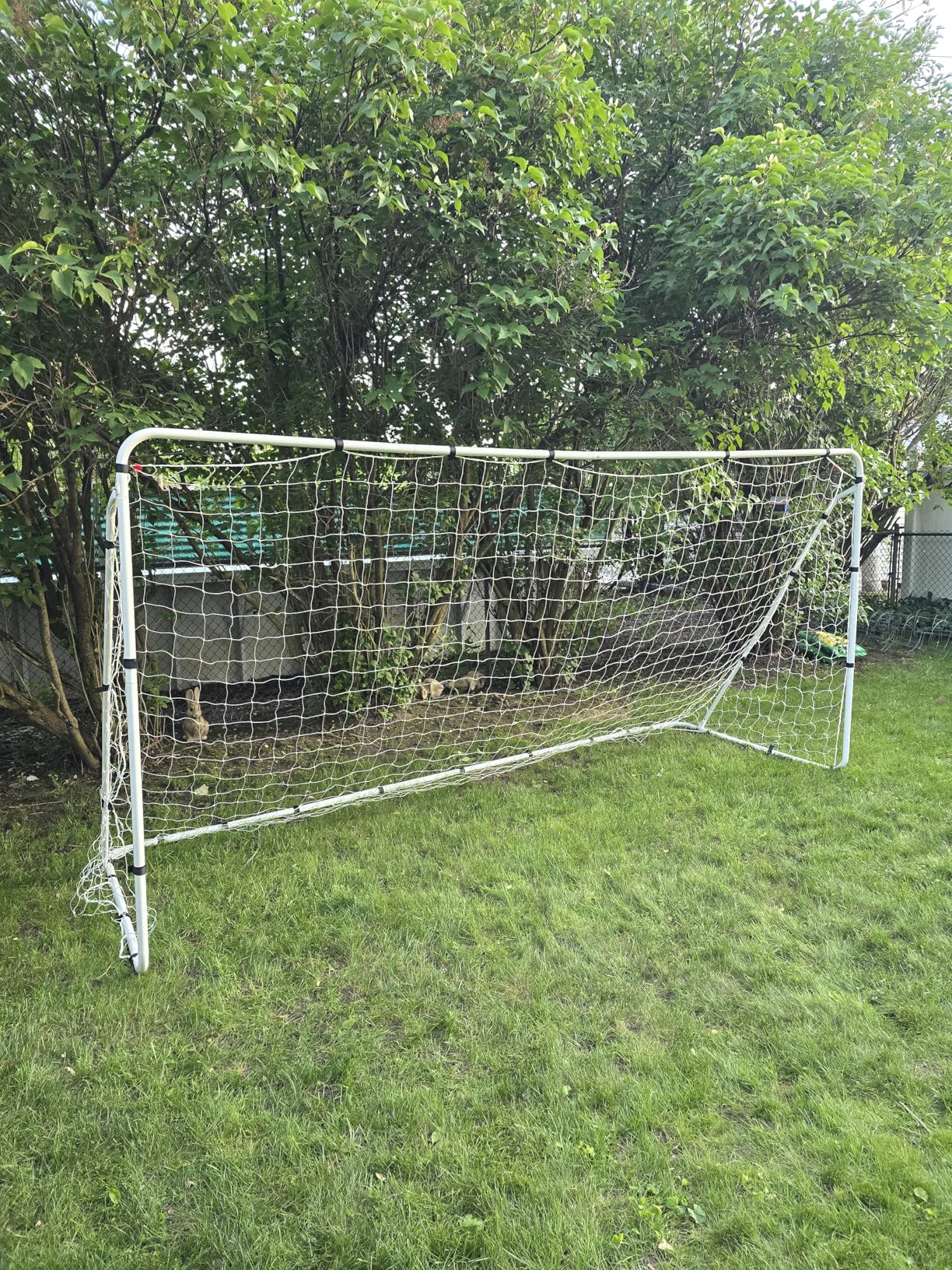 ZENY Portable Soccer Goal for Backyard,12x6 / 10x6.5 / 8x5 / 6x4 ft Youth Adults Soccer Net and Frame for Home Backyard Practice Training Goals customer photo 2