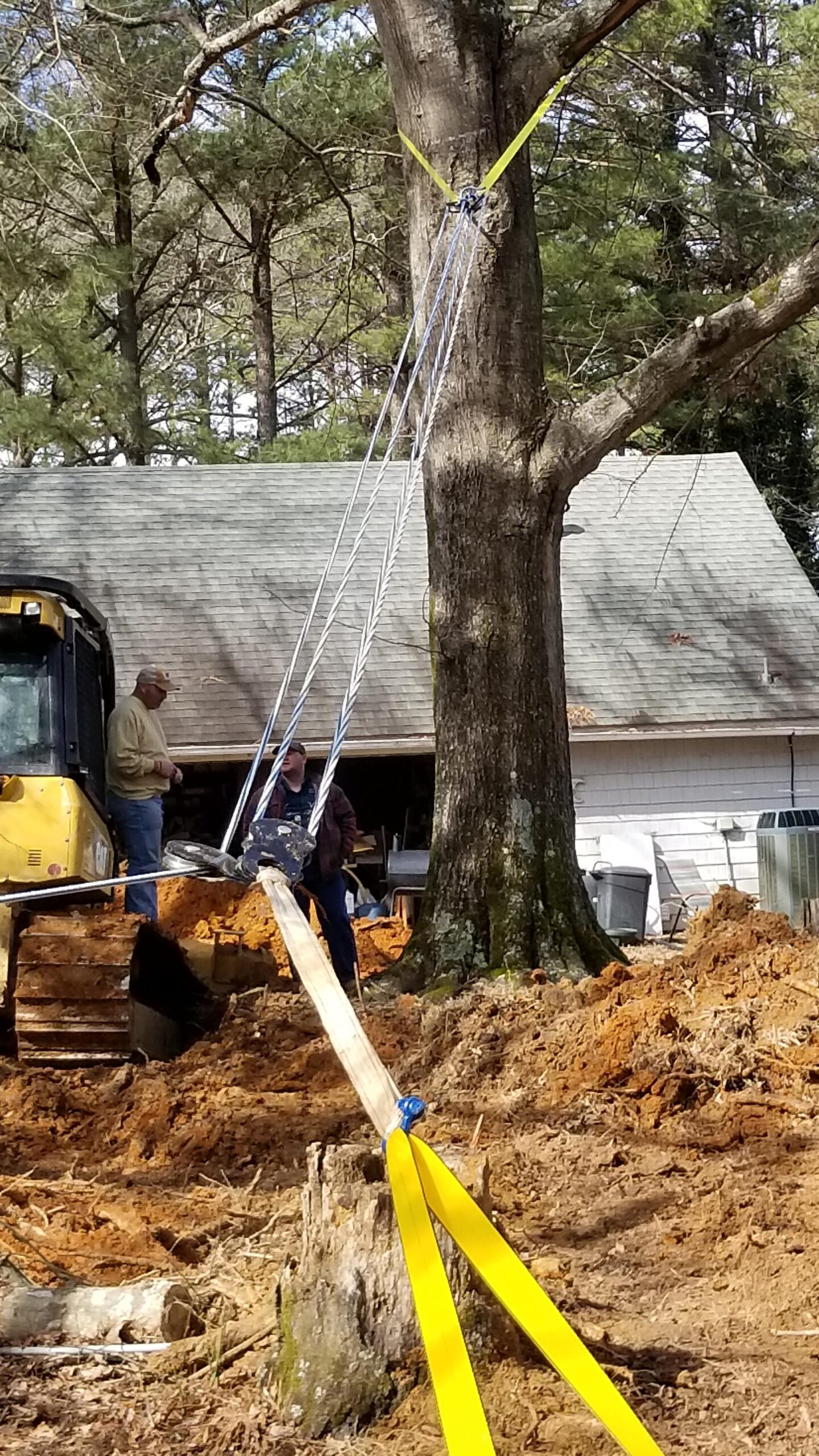 Blue Ox Rope 1/2 Inch by 200 Feet 12 Strand Polyester Arborist Climbing Rope, Blue/White, Made in the USA customer photo 1