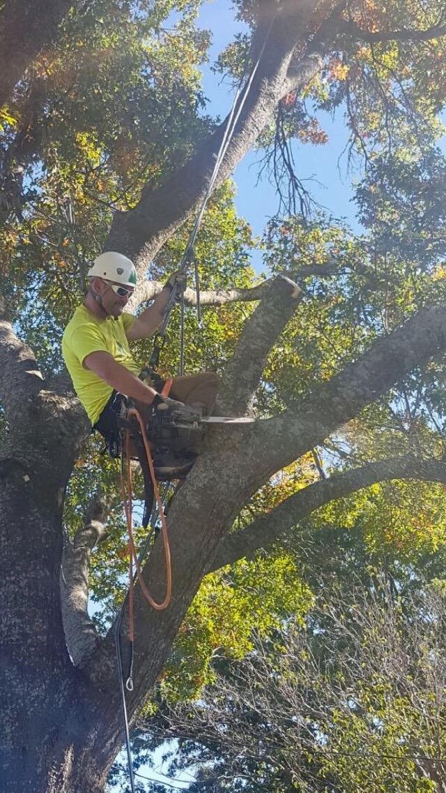 Blue Ox Rope 1/2 Inch by 200 Feet 12 Strand Polyester Arborist Climbing Rope, Blue/White, Made in the USA customer photo 2