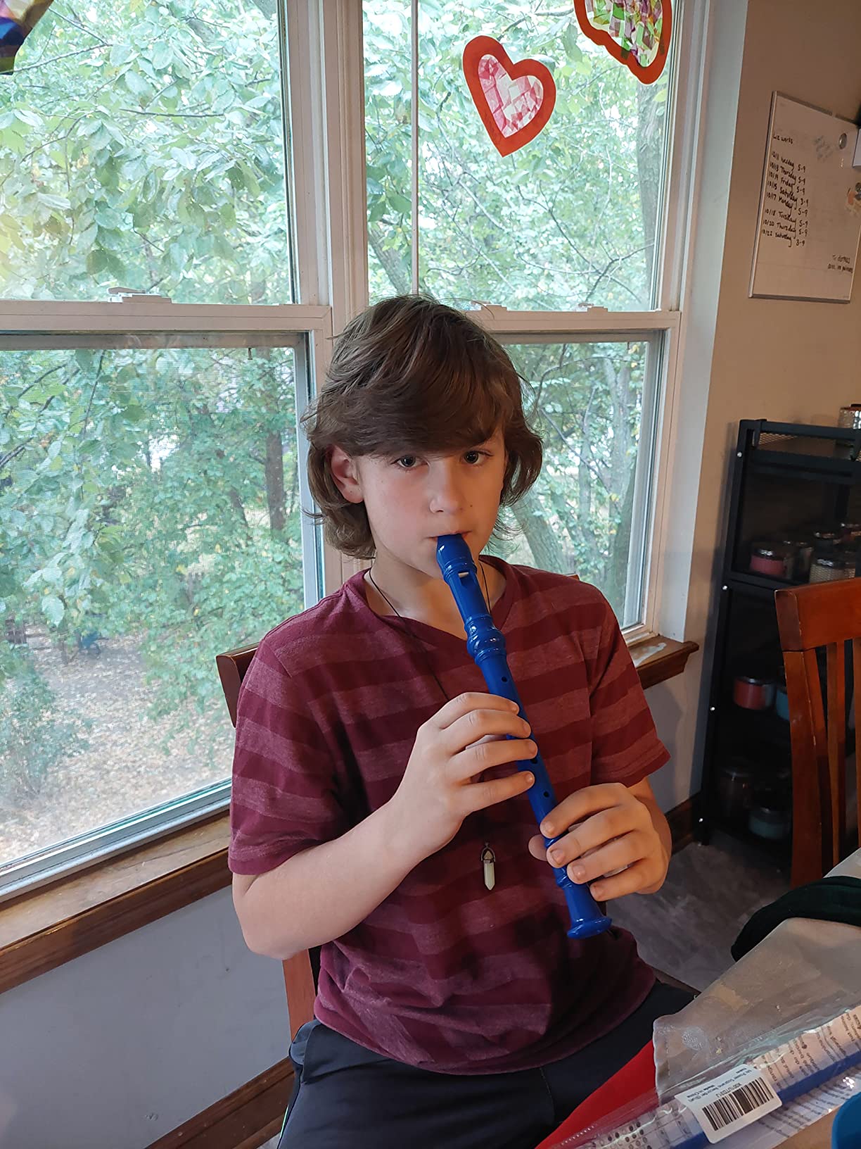 Mr.Power Soprano Recorder German Style C Key 8 Holes Easy Instrument for Beginners School Student Home Entertainment (Blue) customer photo 2
