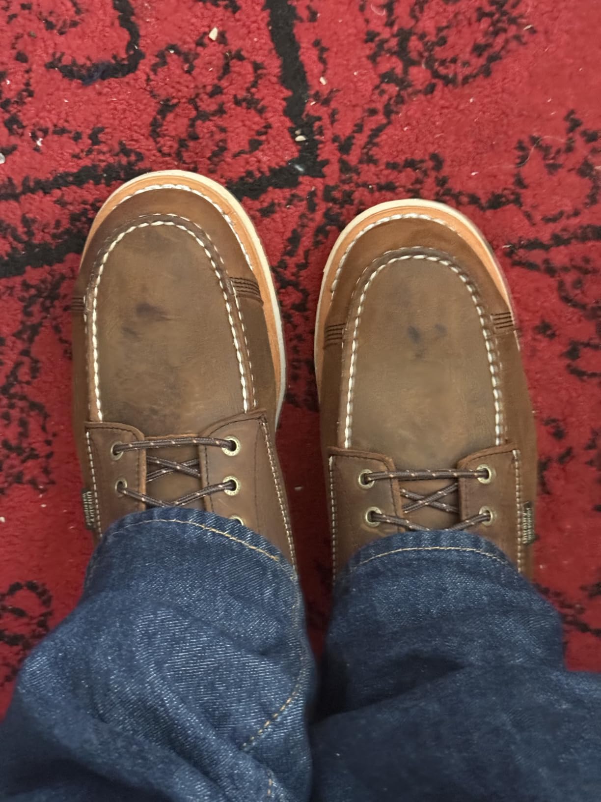 Irish Setter, Wingshooter ST, Men's 6