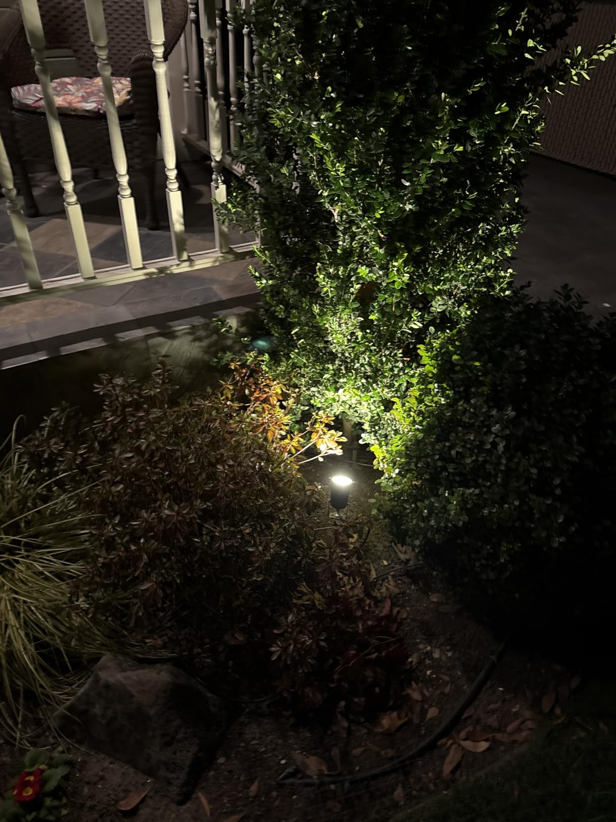 ZUCKEO Low Voltage Landscape Lights 5W LED Landscape Lighting 12V 24V Outdoor Spotlights Waterproof Garden Decorative Landscaping Warm White Lights for Patio Garden Pathway Floor Yard Decor(6 Pack) customer photo 1