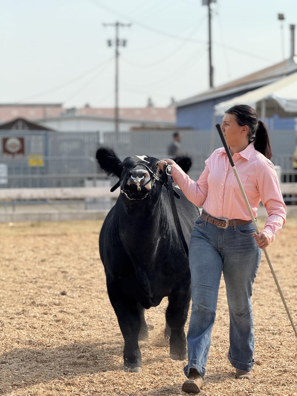 Cinch Womens Tencel Long Sleeve Shirt customer photo 1
