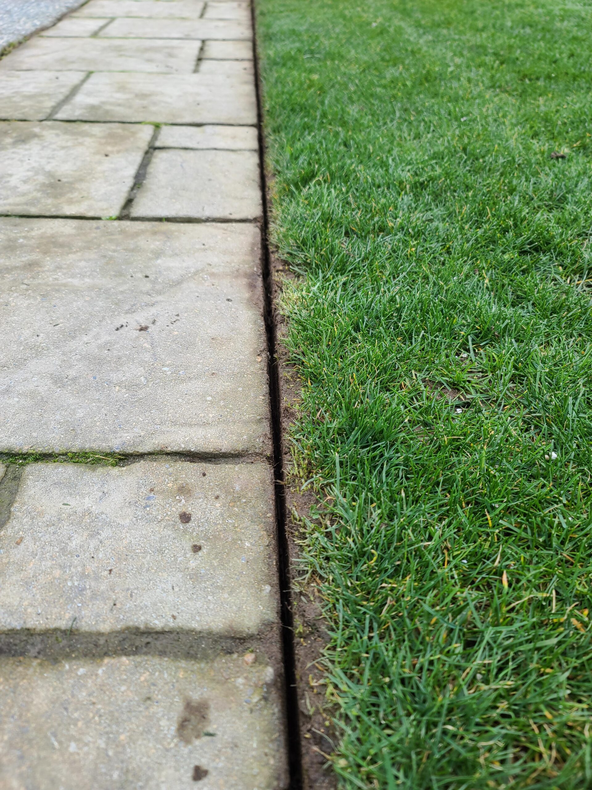 TrimmerPlus Lawn Edger Attachment for Compatible Gas Powered Multi-Use Outdoor Equipment (TPE720) customer photo 1