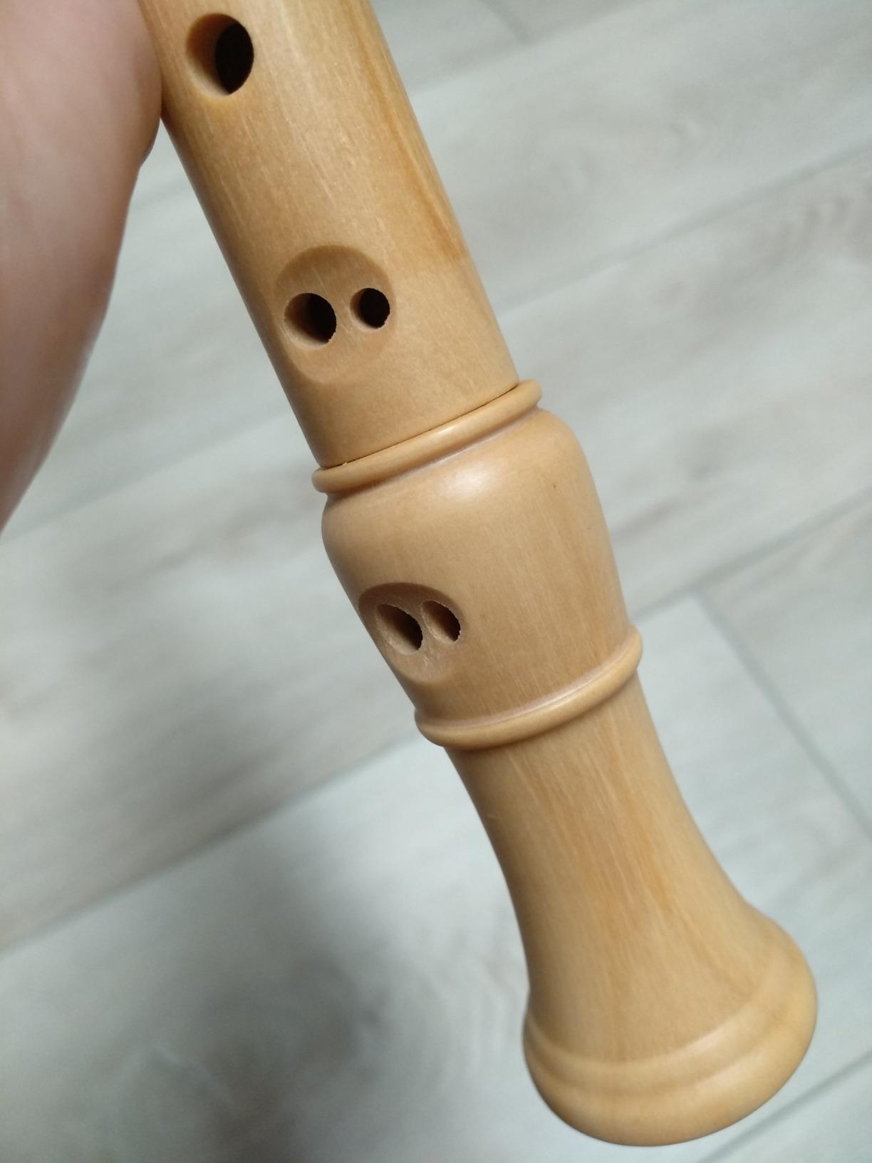 Eastar Soprano Beginners Recorder Baroque fingering C Key Maple Descant Recorder Instrument for Kids Adults, 3 Piece Recorder With Hard Case, Fingering Chart, Cleaning Kit, ERS-31BM customer photo 2