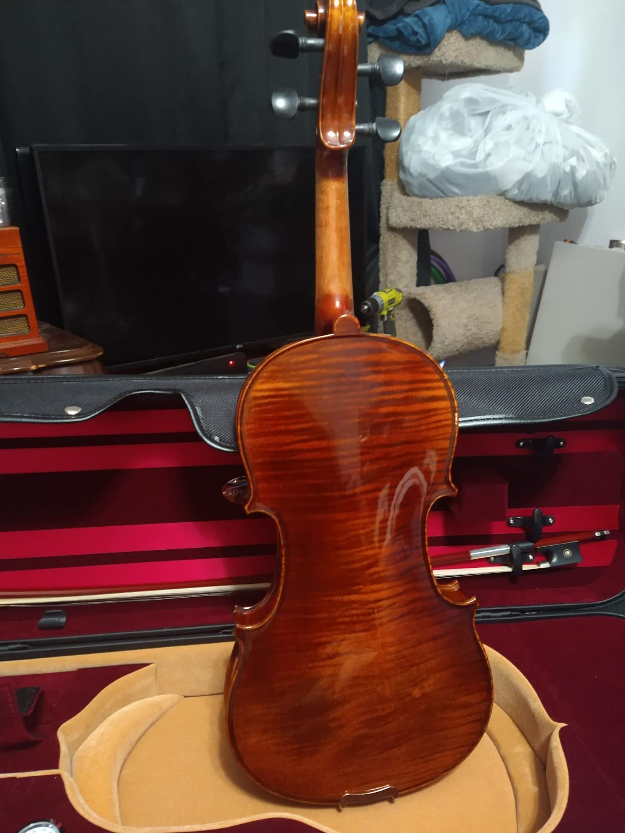 Antonio Giuliani Primo Clearance Violin Outfit AGP430 (4/4) customer photo 1