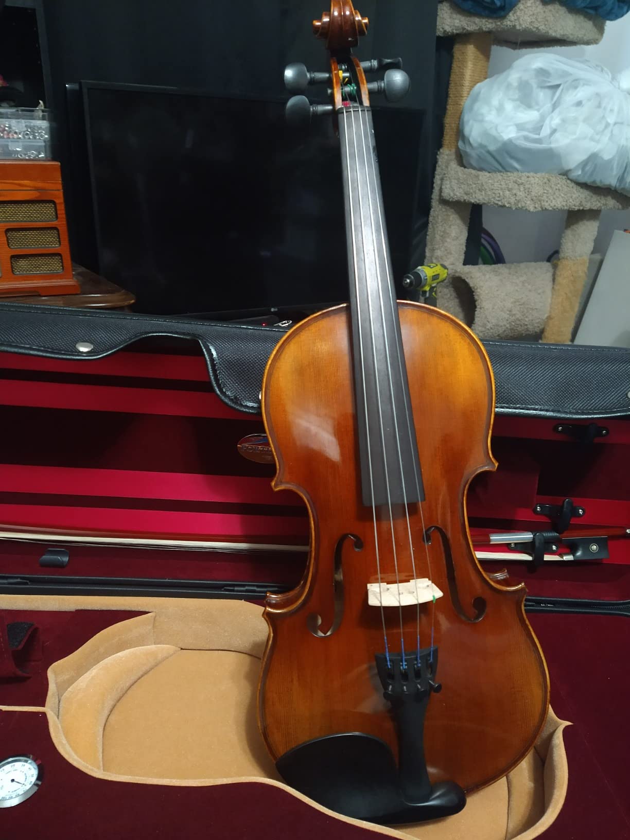 Antonio Giuliani Primo Clearance Violin Outfit AGP430 (4/4) customer photo 2