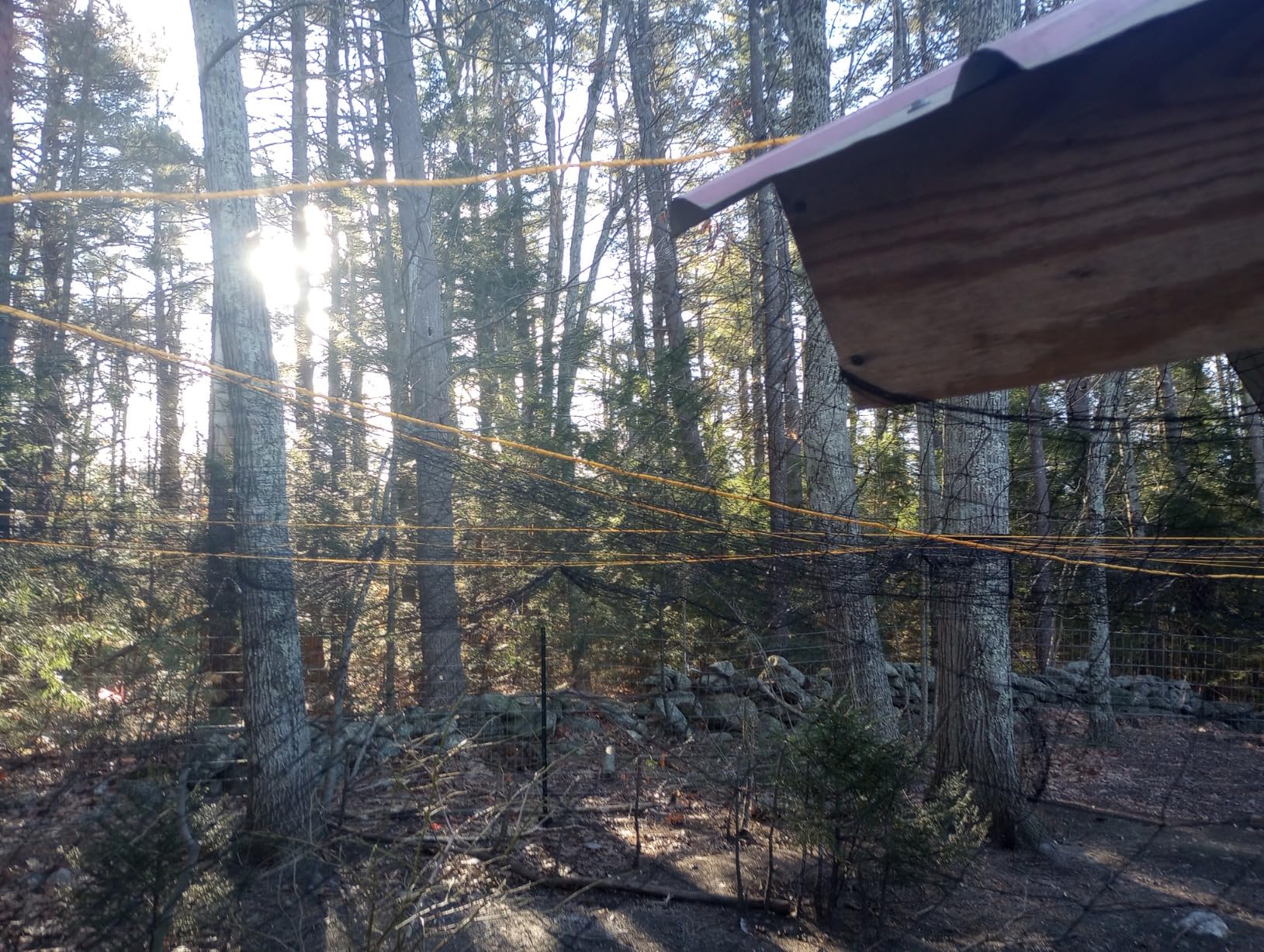 BSTPCOO Bird Netting for Chicken Coop, 25'x50' with 2.4