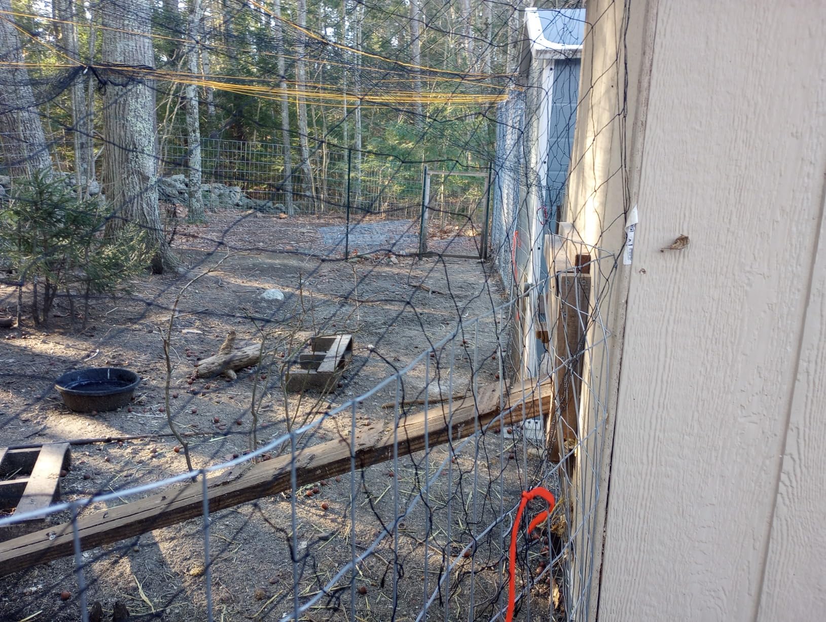 BSTPCOO Bird Netting for Chicken Coop, 25'x50' with 2.4
