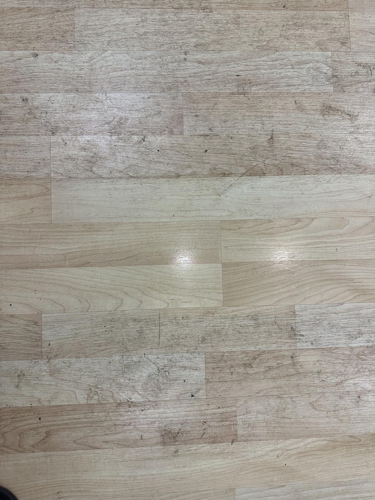 Bissell Multi-Surface Solution, For use in CrossWave and other leading hard surface and area rug cleaners, 64oz customer photo 1