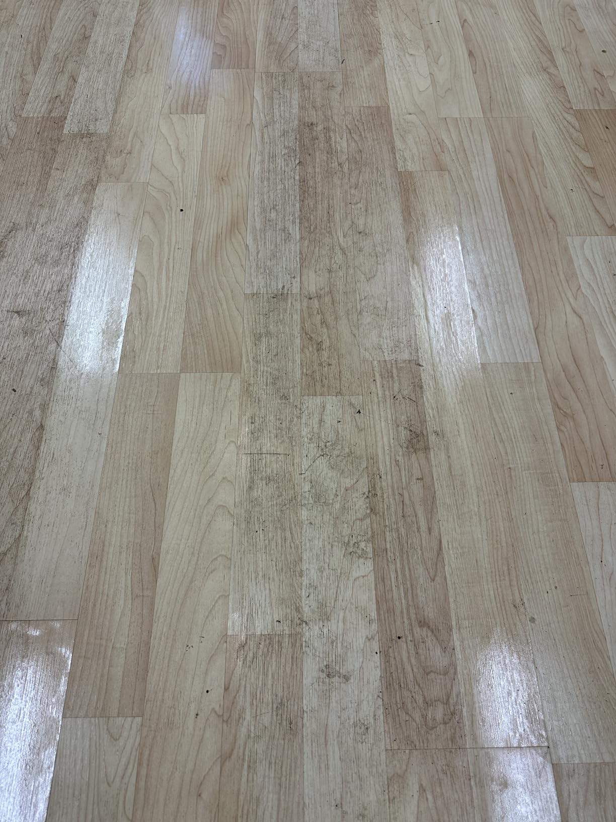 Bissell Multi-Surface Solution, For use in CrossWave and other leading hard surface and area rug cleaners, 64oz customer photo 2