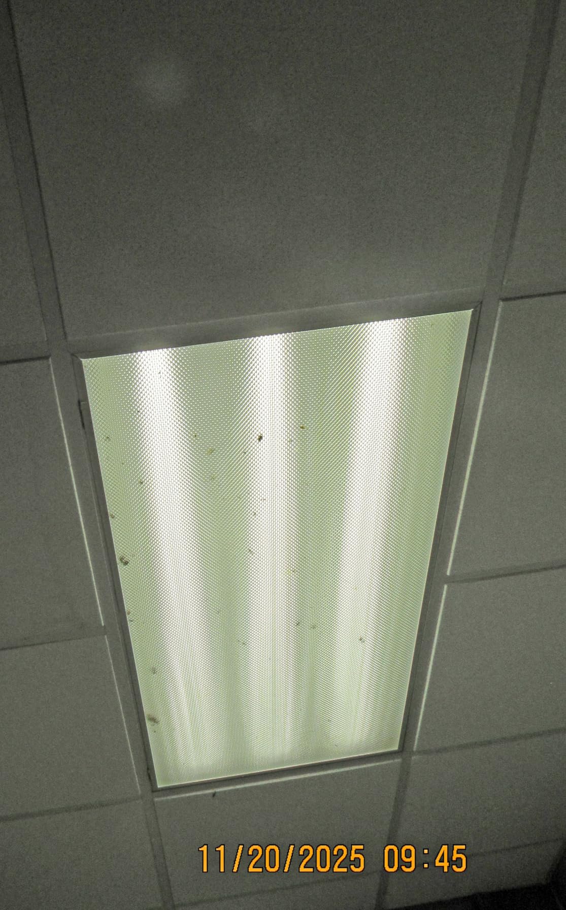 2x4 LED Flat Panel Light, 7800LM Drop Ceiling Fixture ETL, 4 Pack | 0-10V Dimmable, 5000K LED Drop Ceiling Office Fixture LED Recessed Edge-Lit Fixture for Office Commercial Classroom Gym customer photo 1