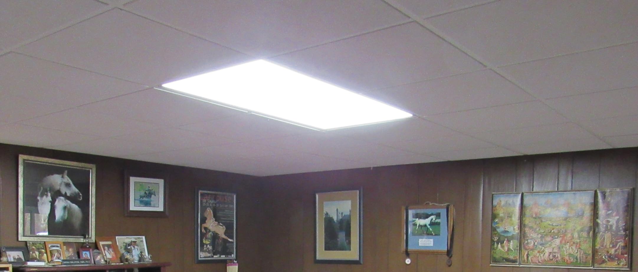 2x4 LED Flat Panel Light, 7800LM Drop Ceiling Fixture ETL, 4 Pack | 0-10V Dimmable, 5000K LED Drop Ceiling Office Fixture LED Recessed Edge-Lit Fixture for Office Commercial Classroom Gym customer photo 2